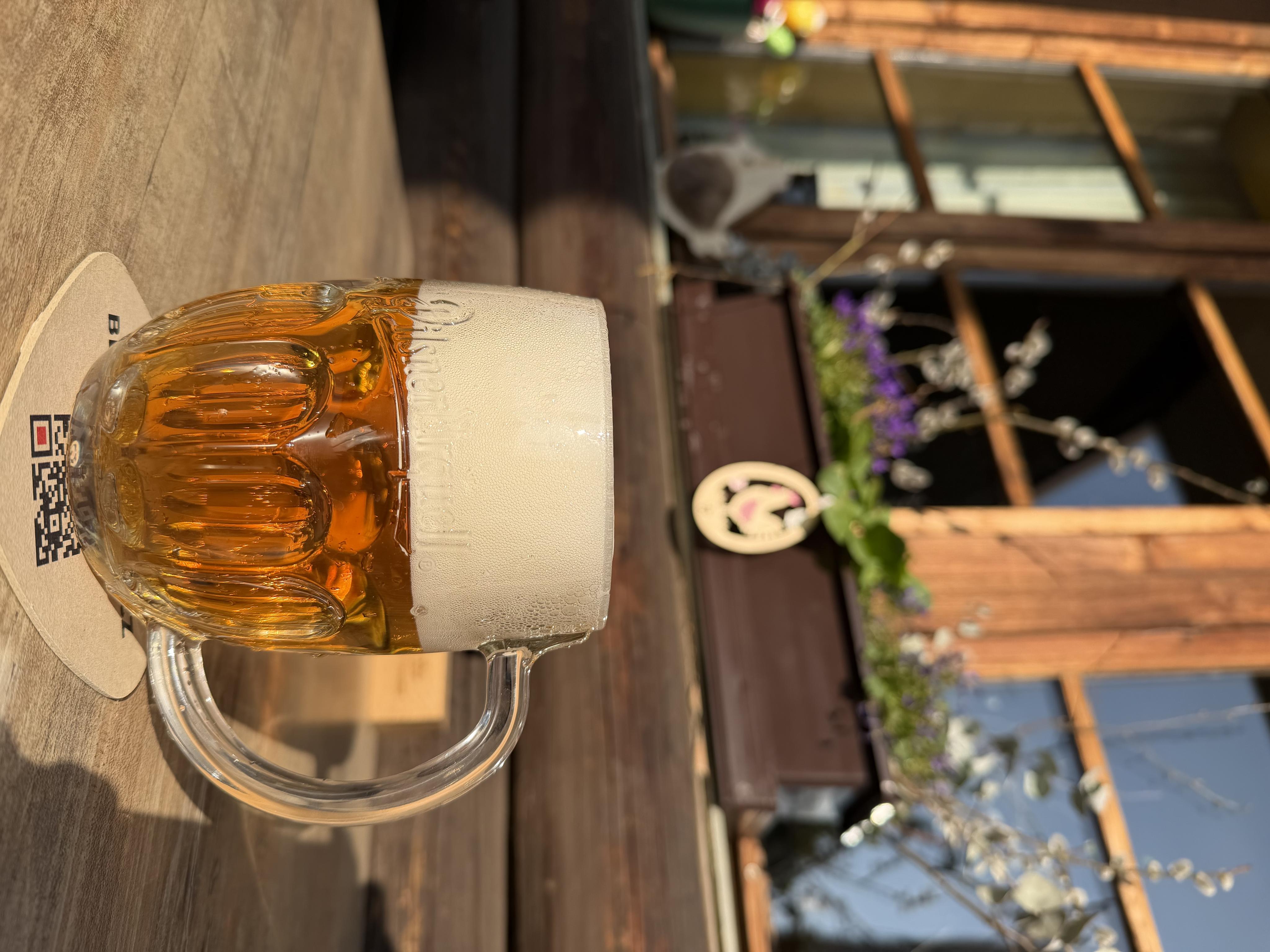 Hostinec - Penzion “U Holubů“ foto 1