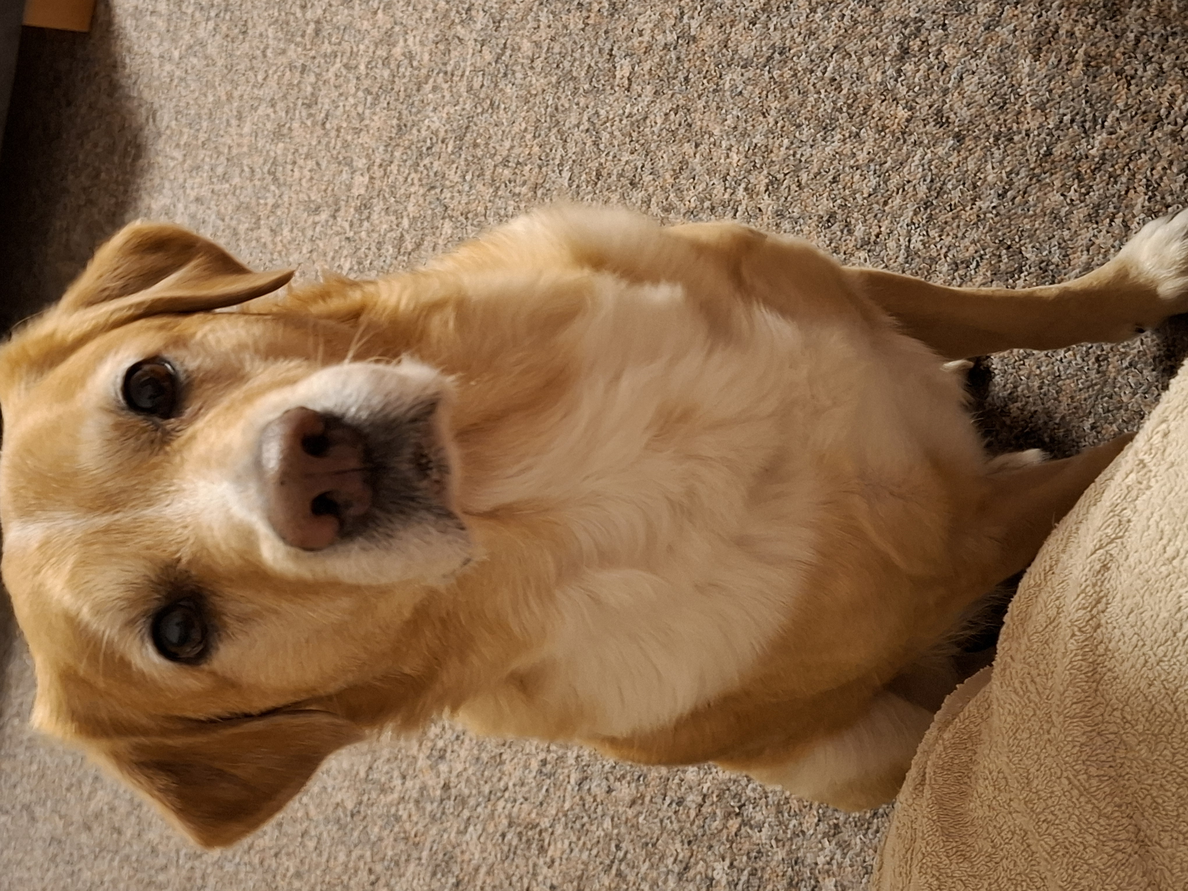 Penzion Levandule foto 6