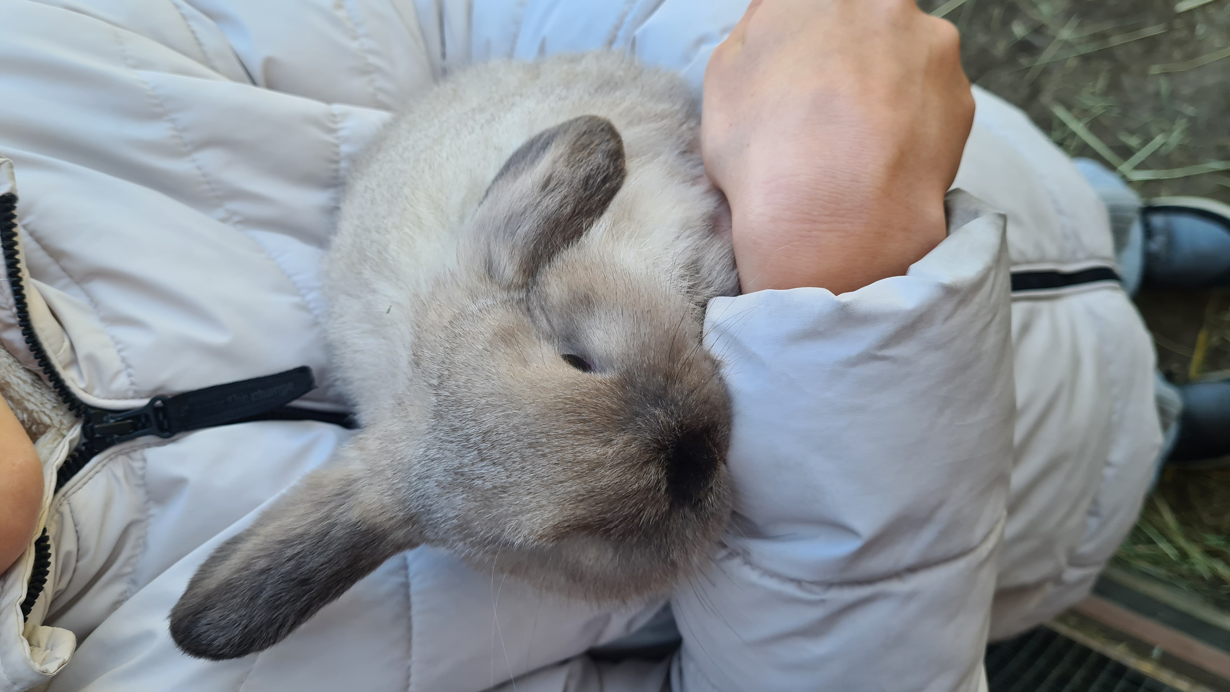 Farma Marvanovi foto 2