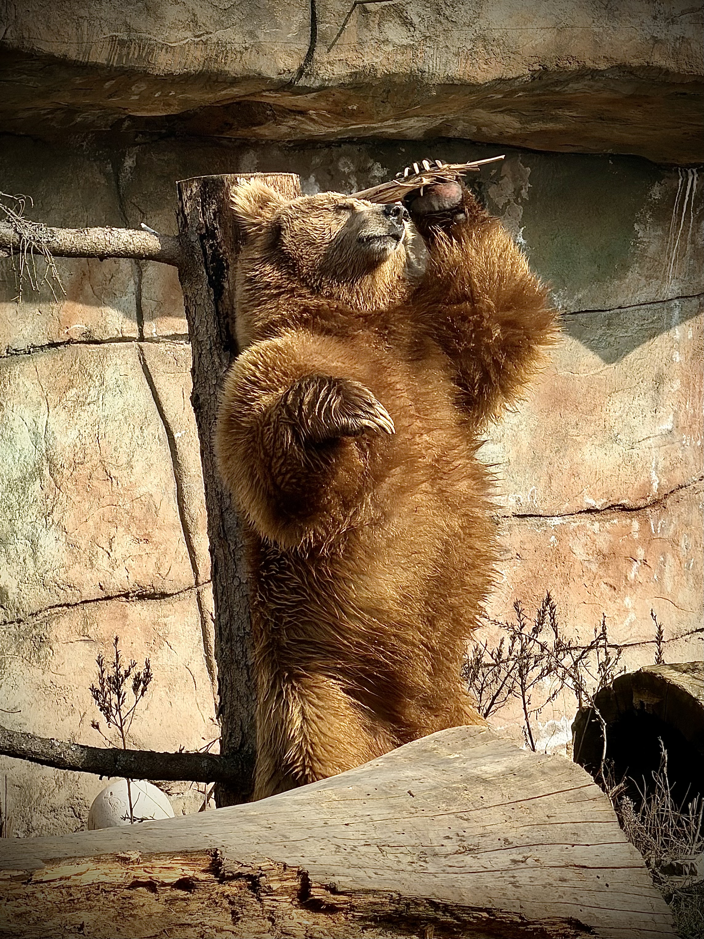 Jihočeská zoologická zahrada Hluboká nad Vltavou foto 3