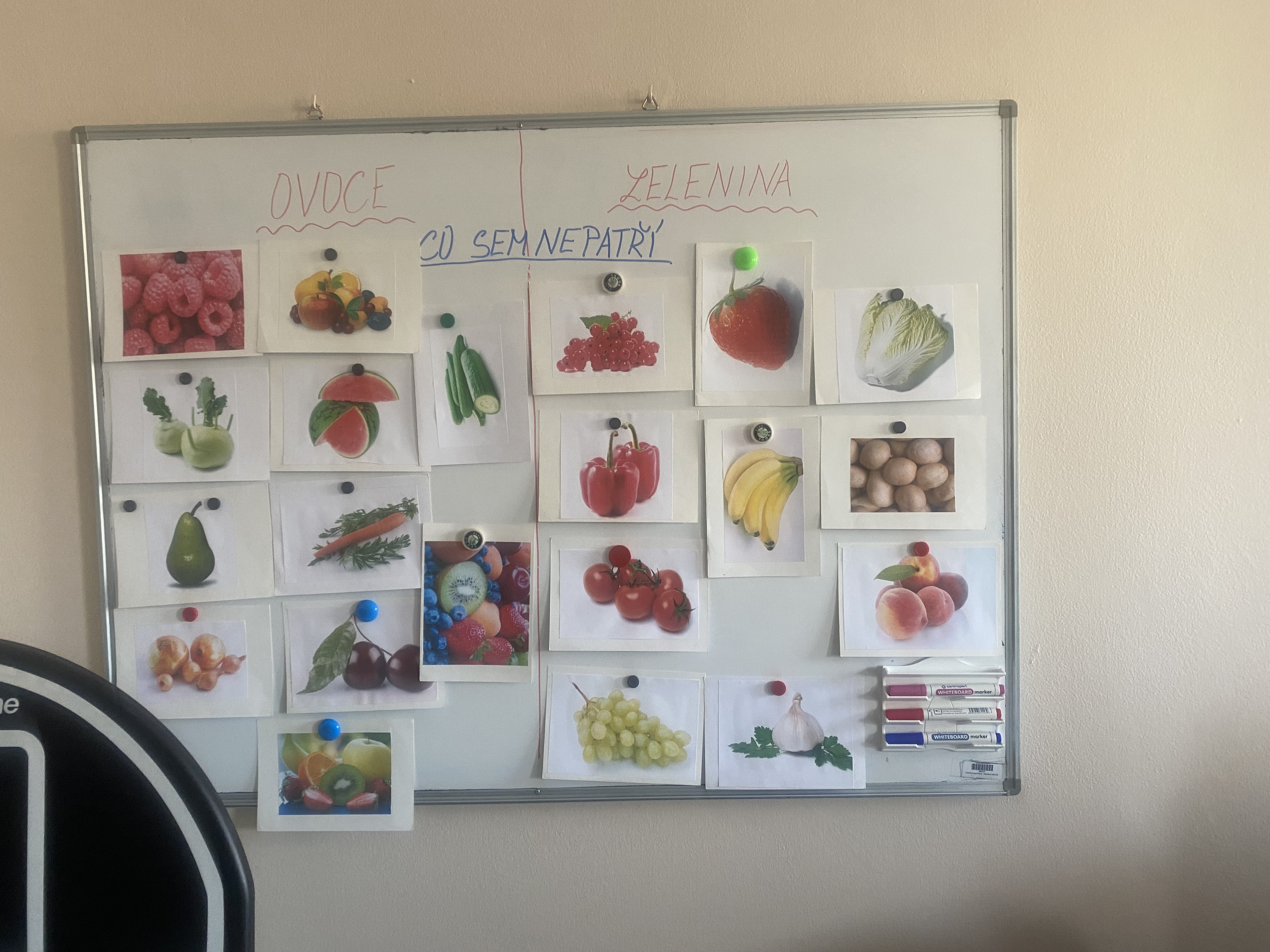 Domov Modrý kámen, poskytovatel sociálních služeb foto 5