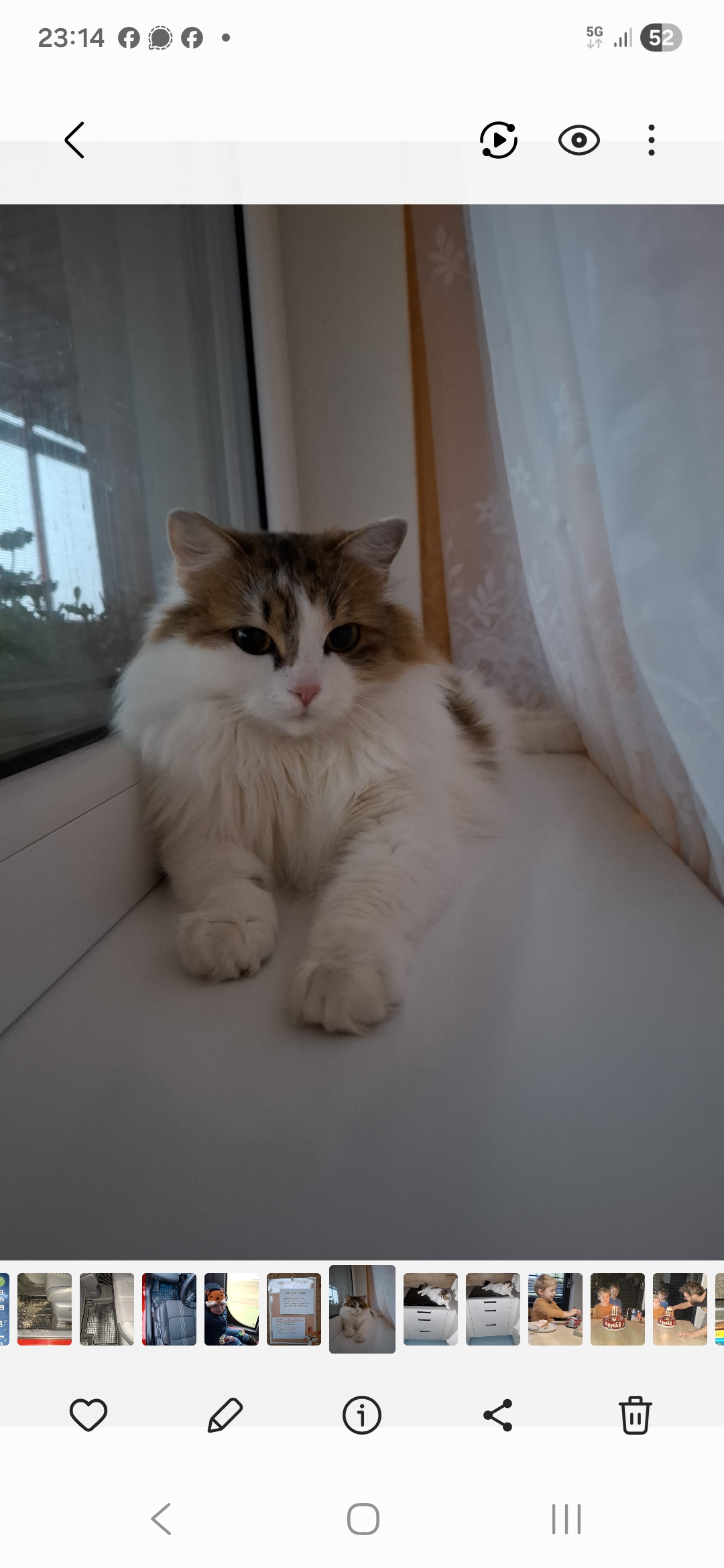 Spokojenezvire.cz foto 5