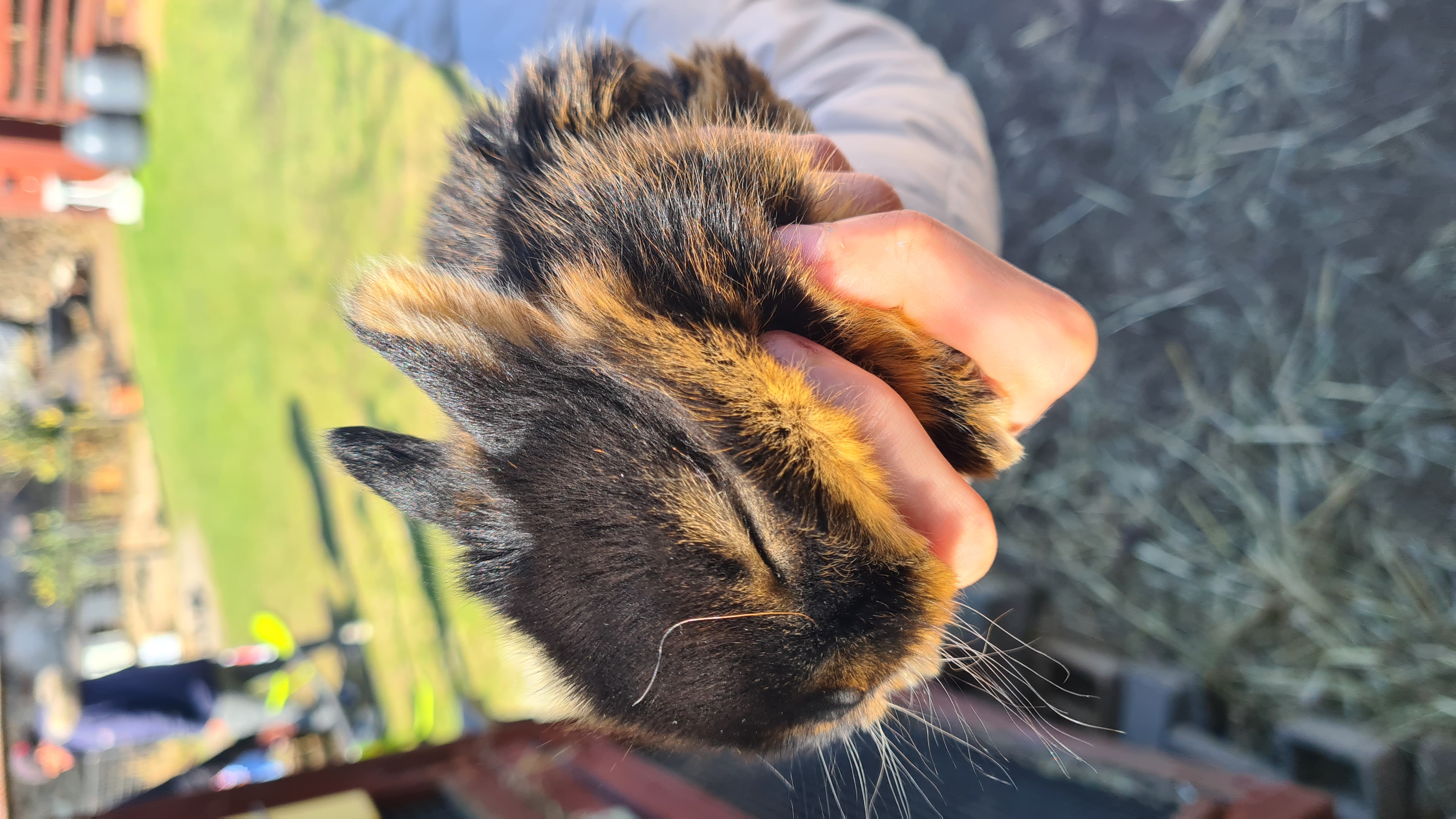 Farma Marvanovi foto 4