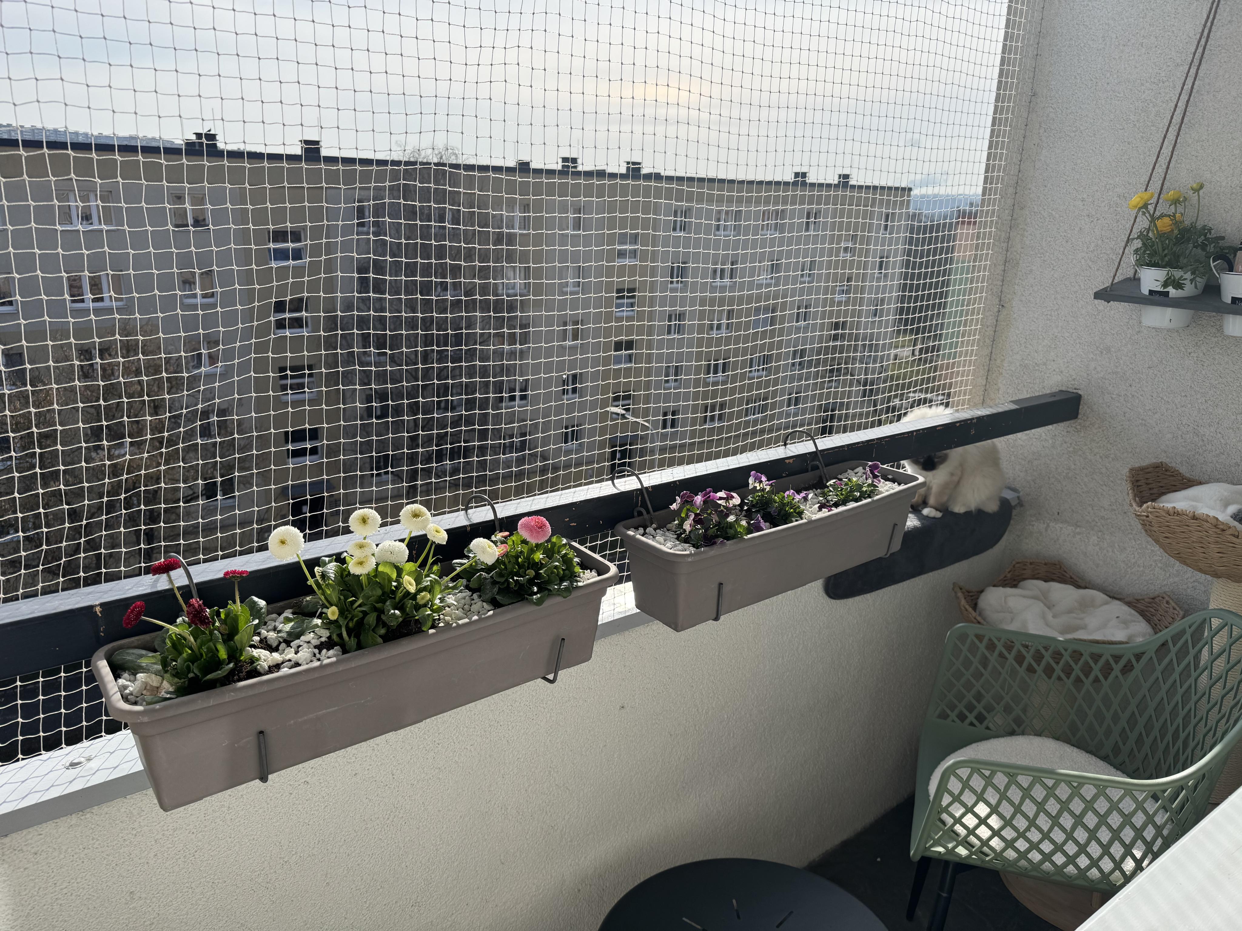 Ochranné Zasíťování foto 4