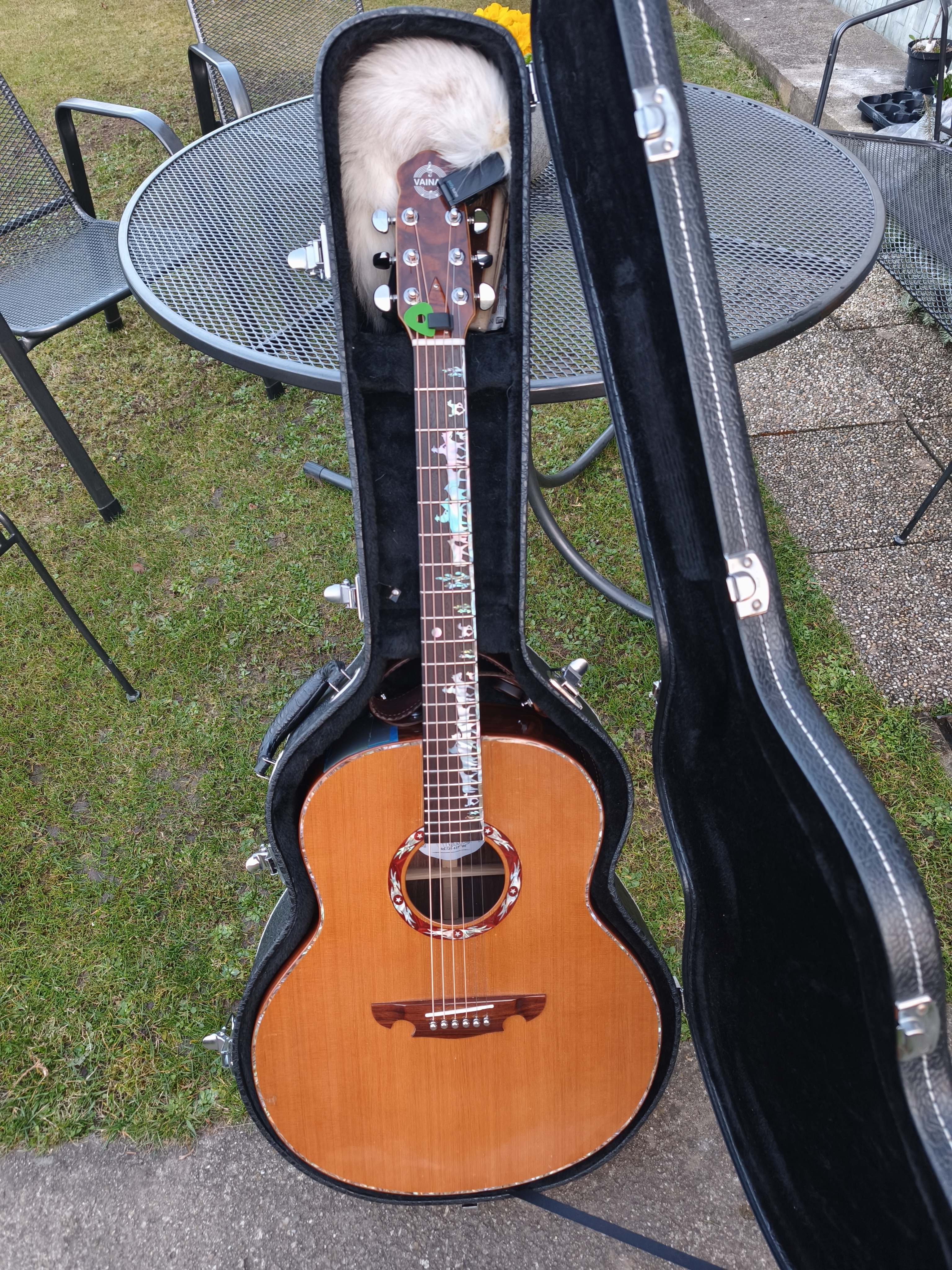 Kytarář Vainar foto 3