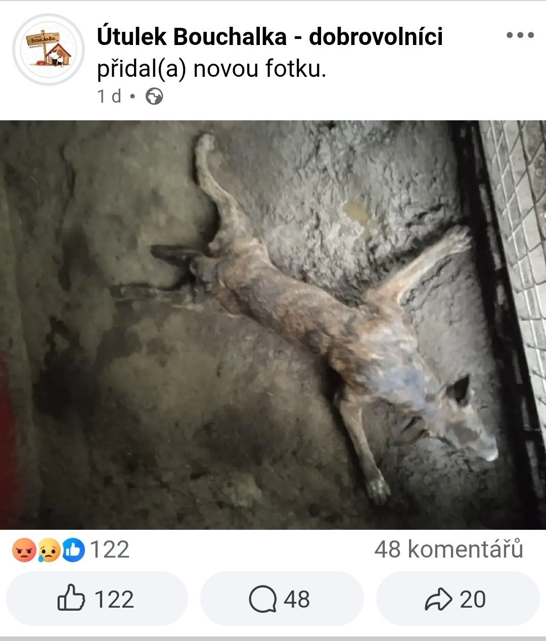 Psí útulek Bouchalka foto 1
