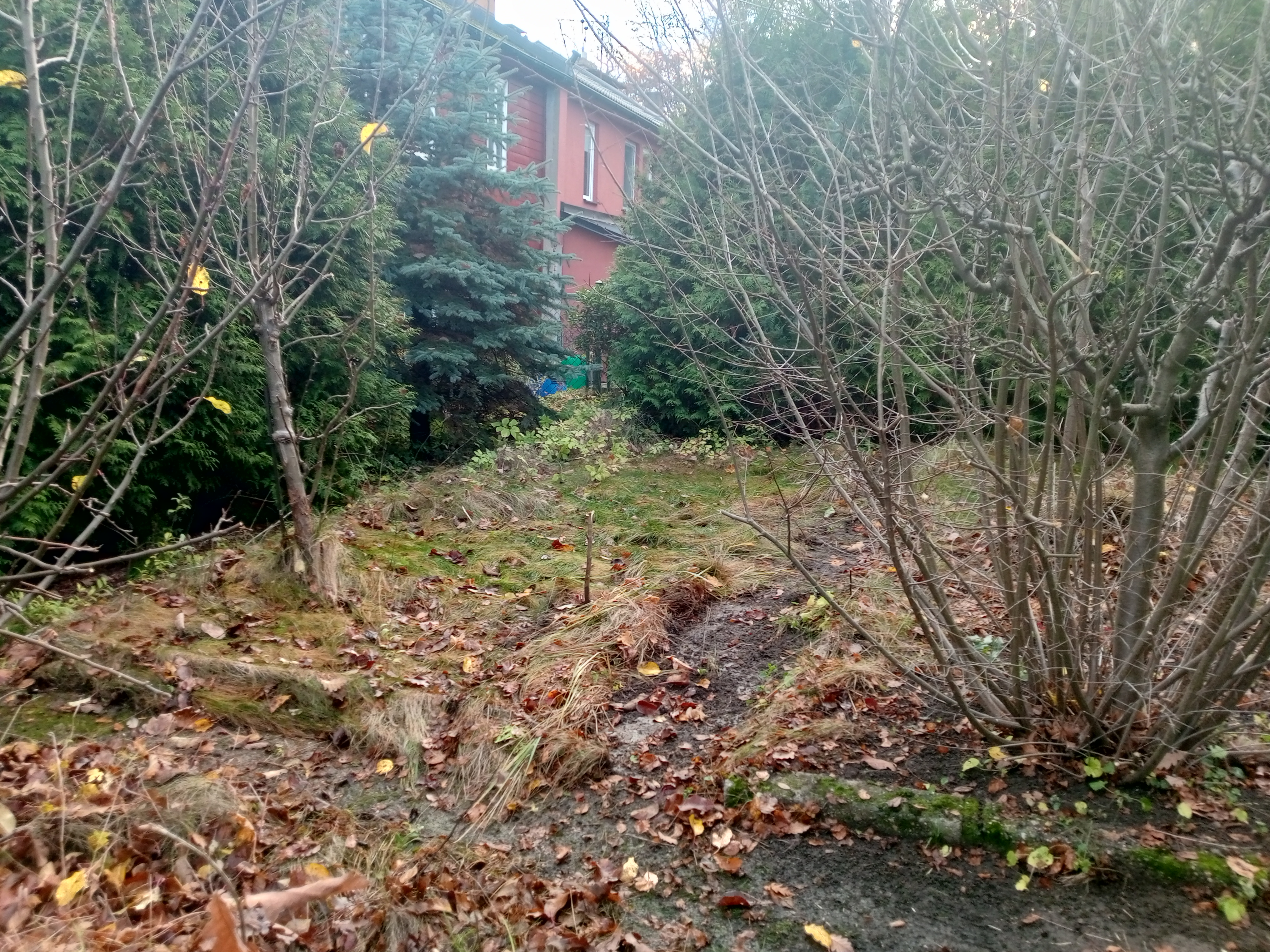 Realitní Makléř - Oldřich Humpolec foto 2