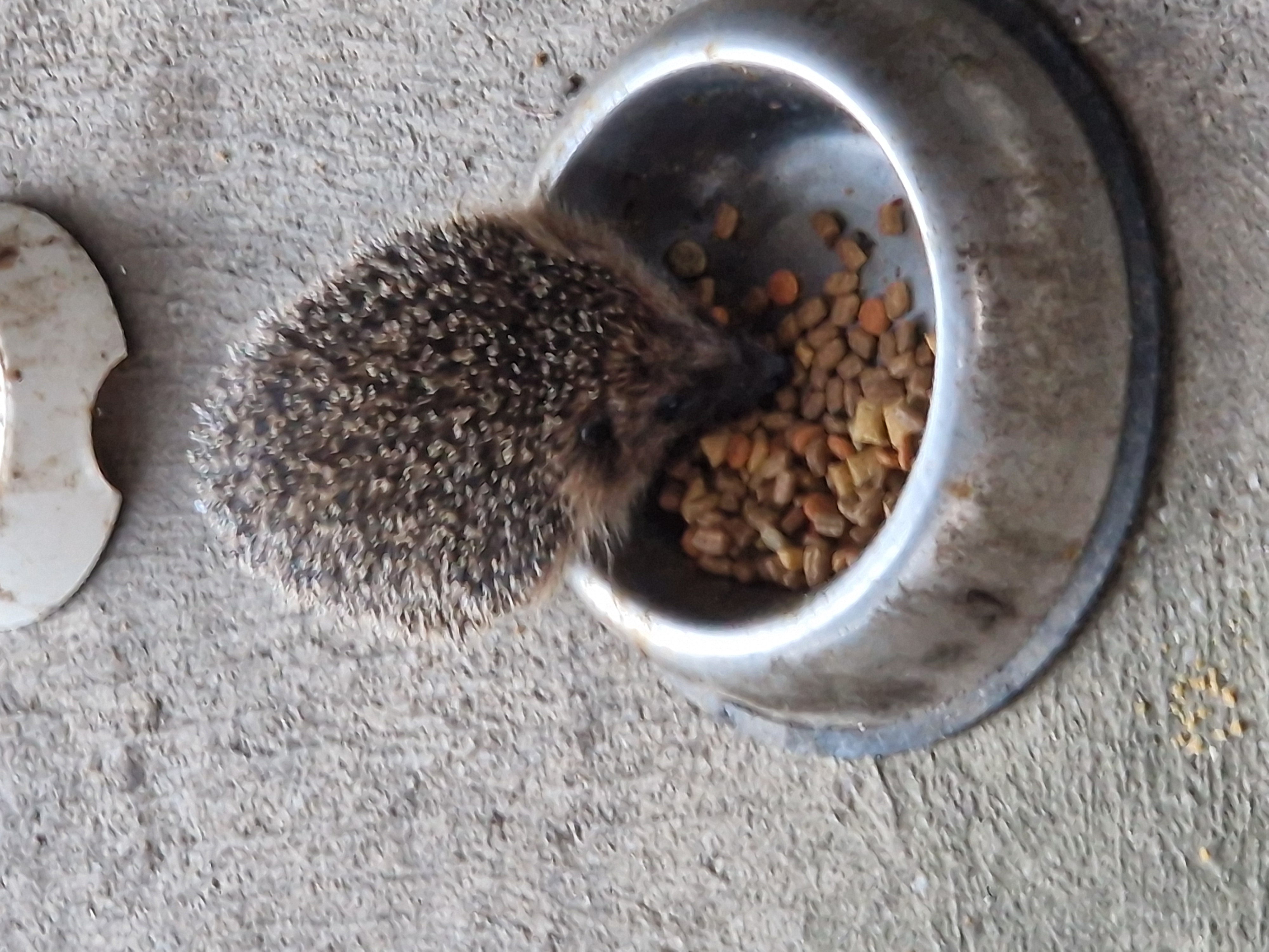 Uhelné sklady Olomouc foto 6