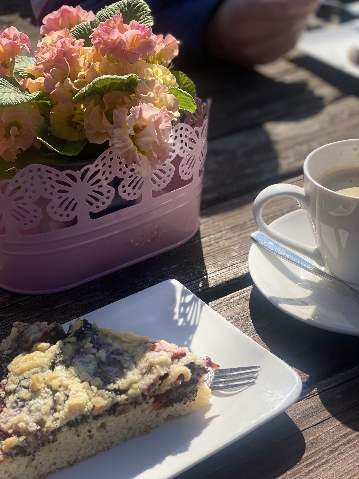 Zmrzlina Opočno Zahrádky foto 2