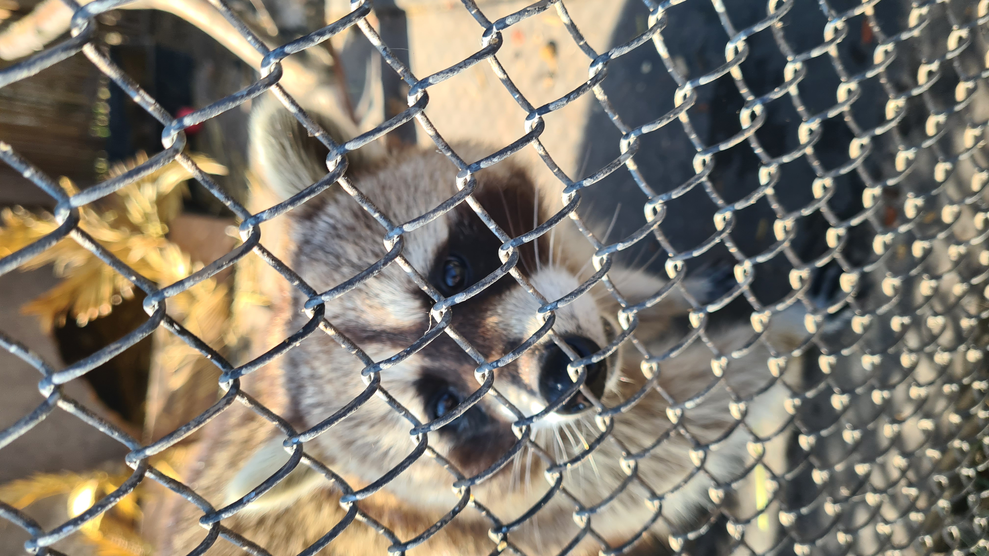 Farma Marvanovi foto 5