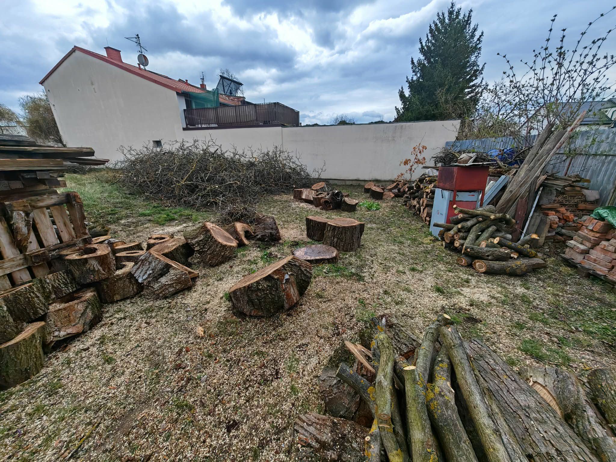 RKV Rizikové Kácení Vychodil foto 6