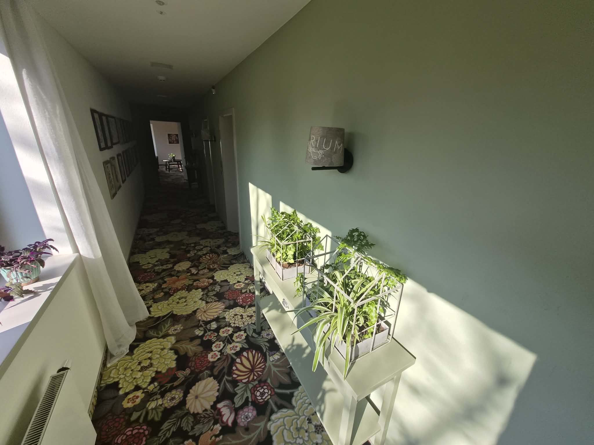 HERBARIUM boutique hotel foto 6