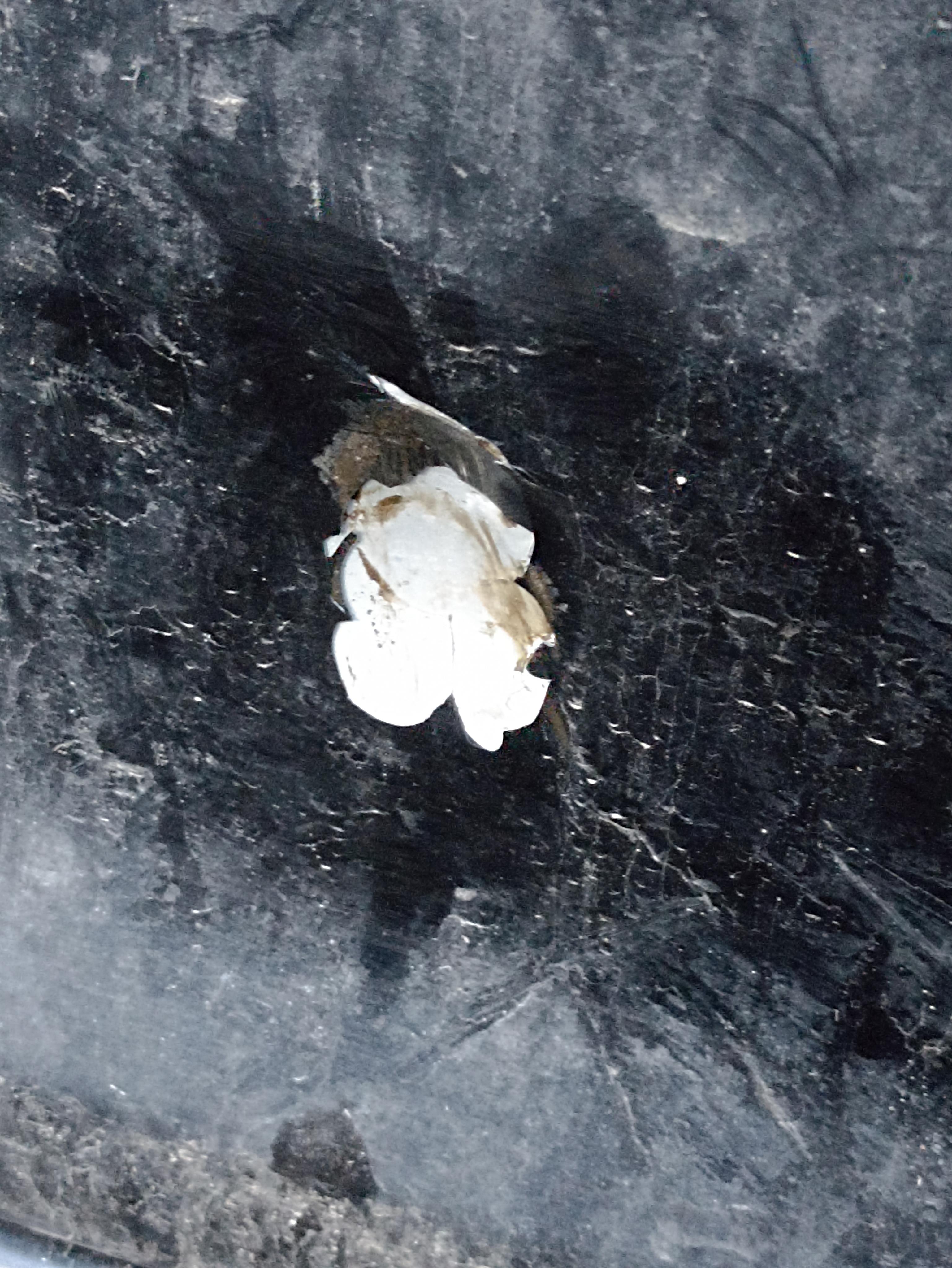 Tomáš Maidl foto 3