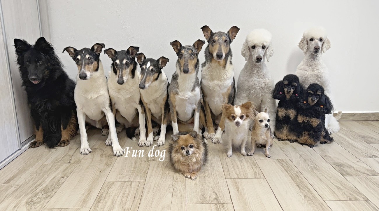 VETERINA-MOST foto 2