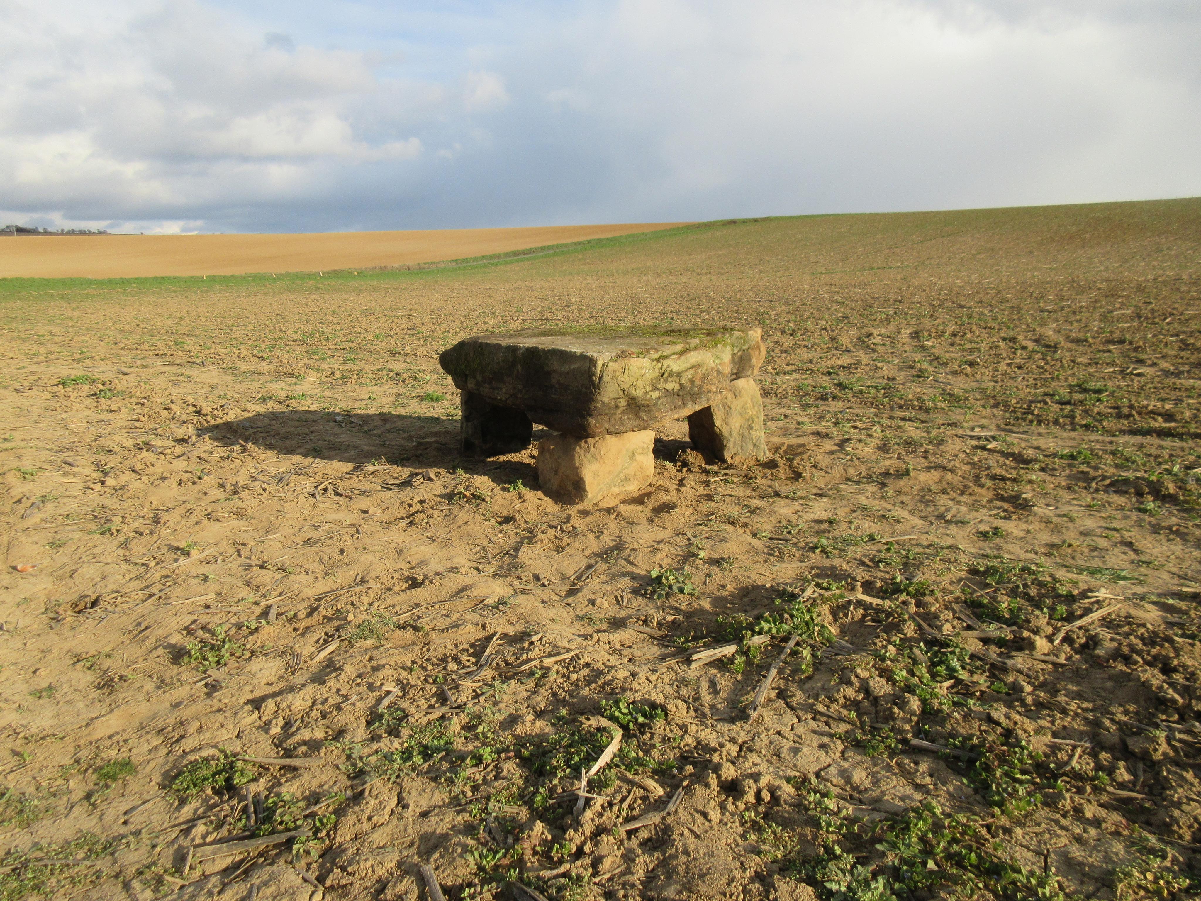 Silvie Skotková - péče o Vaše reality foto 2