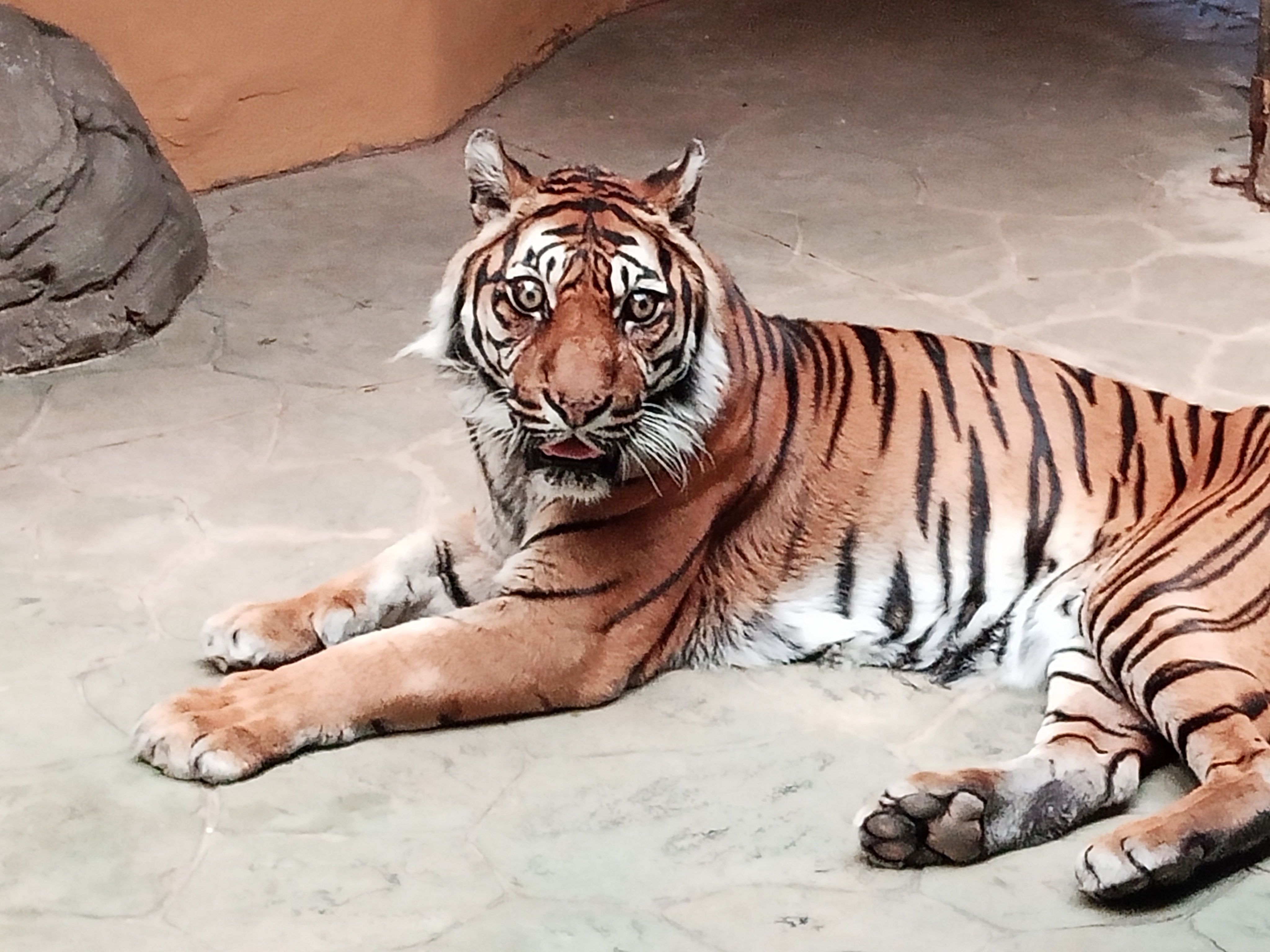 Zoo Brno a stanice zájmových činností foto 4