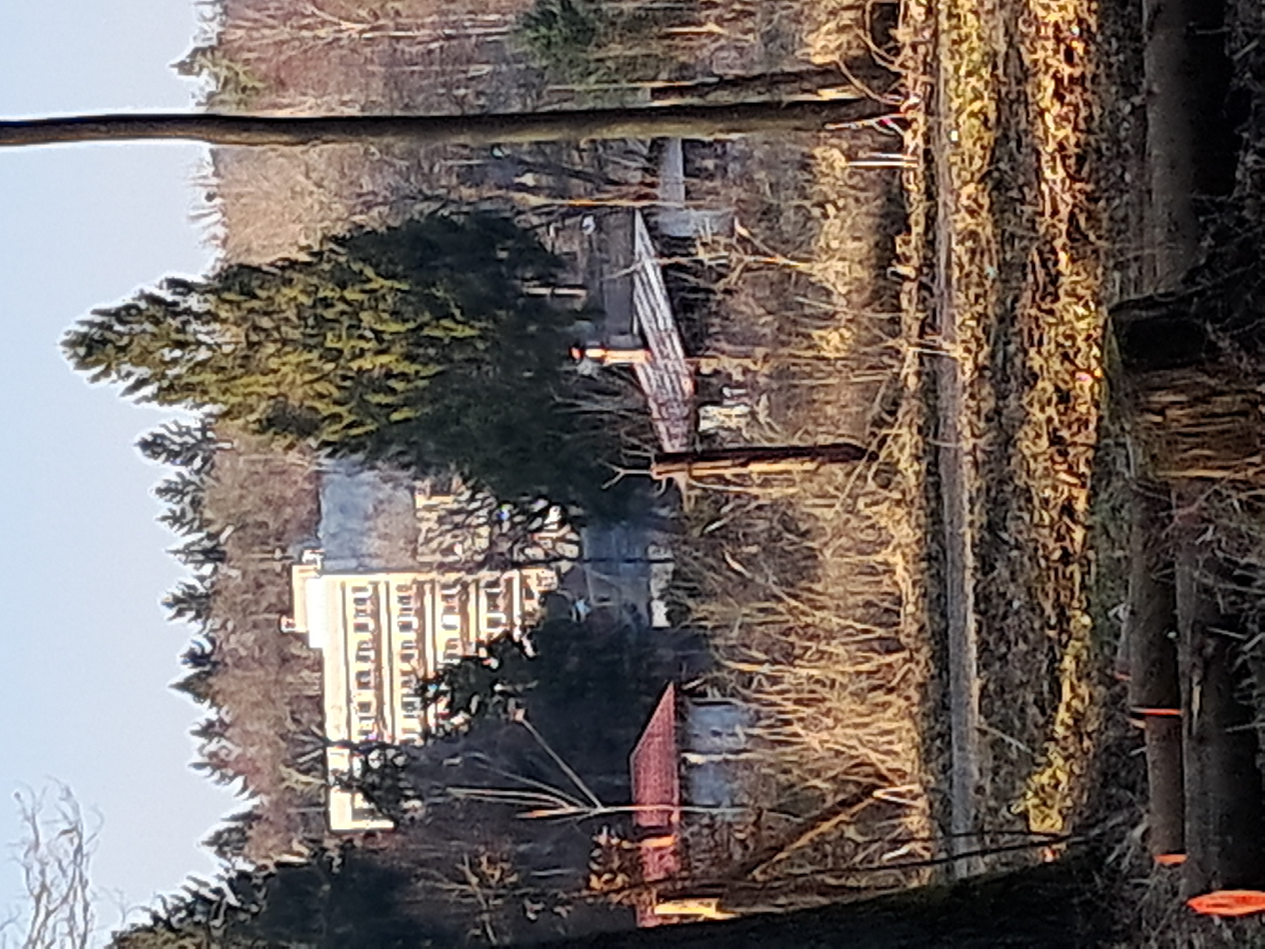 Hotel Kraskov - ubytování v chatkách foto 5