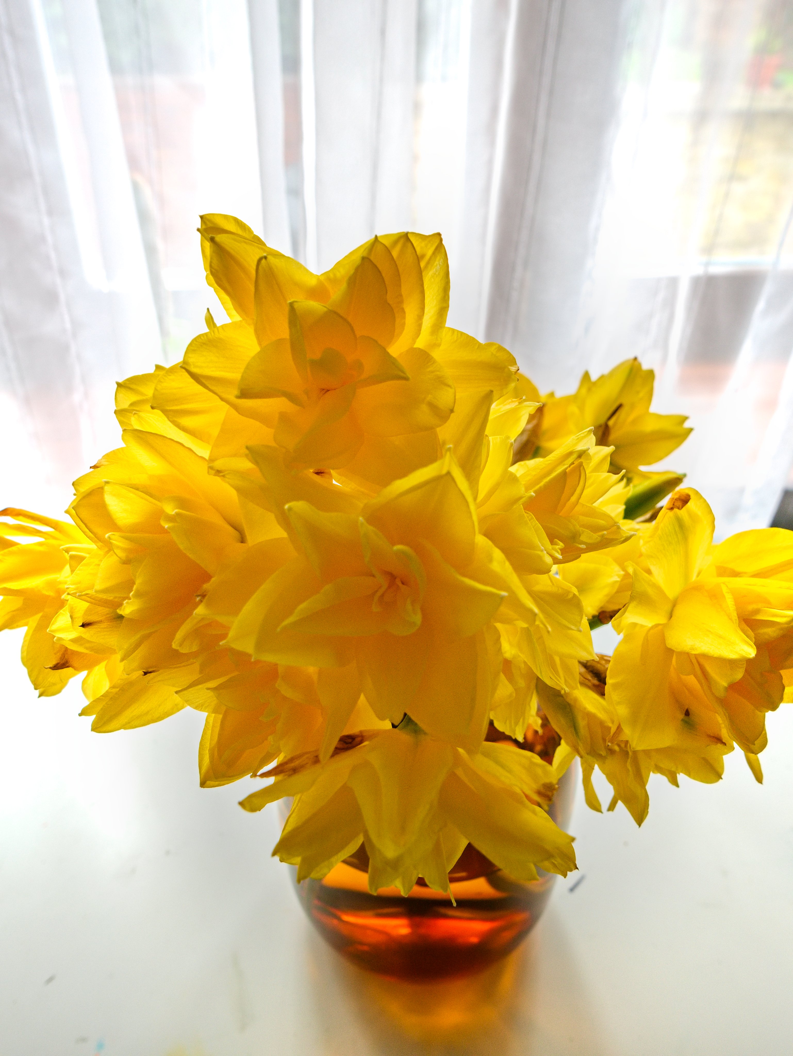 Květiny od Srdce foto 4