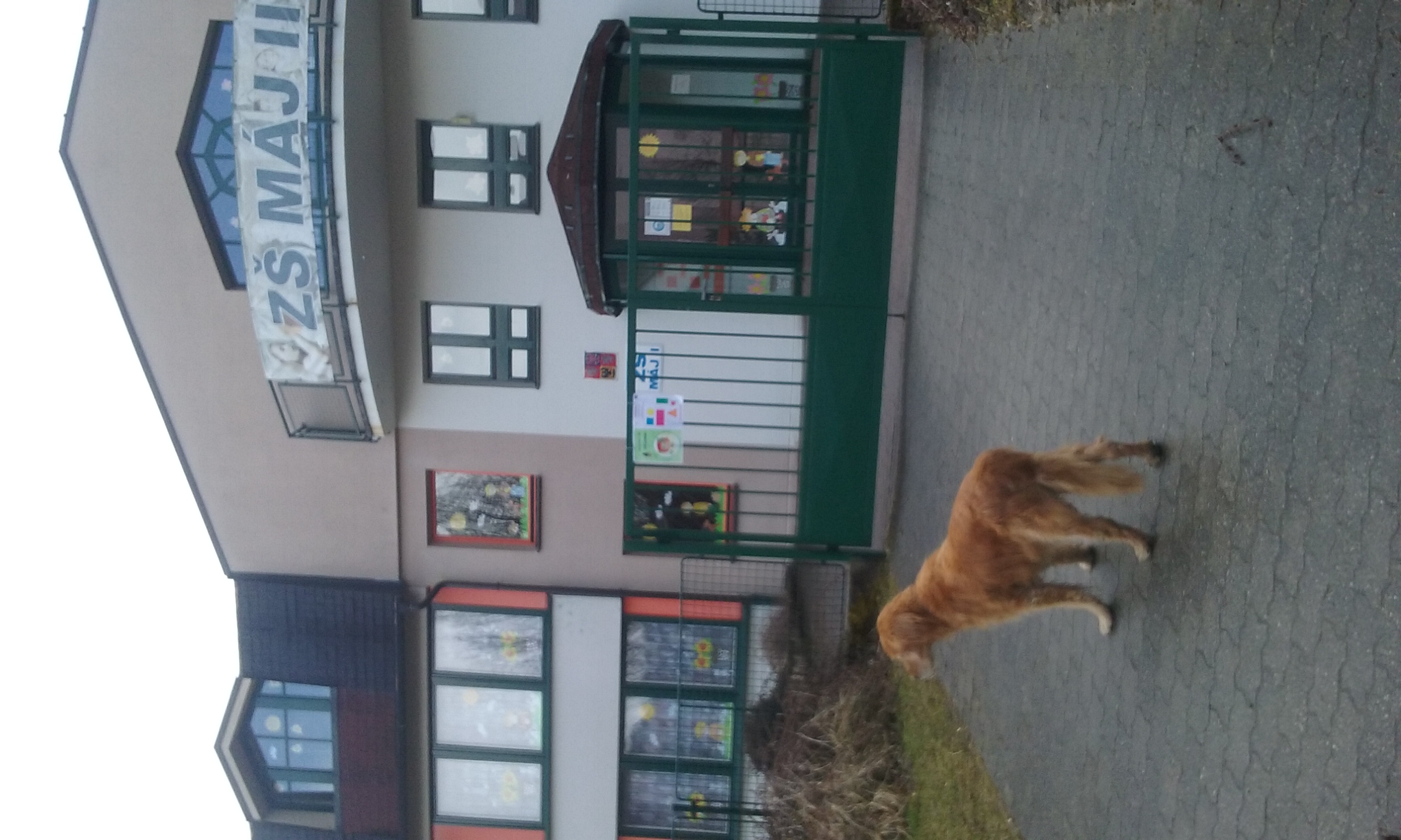 ZŠ Máj II, České Budějovice foto 4