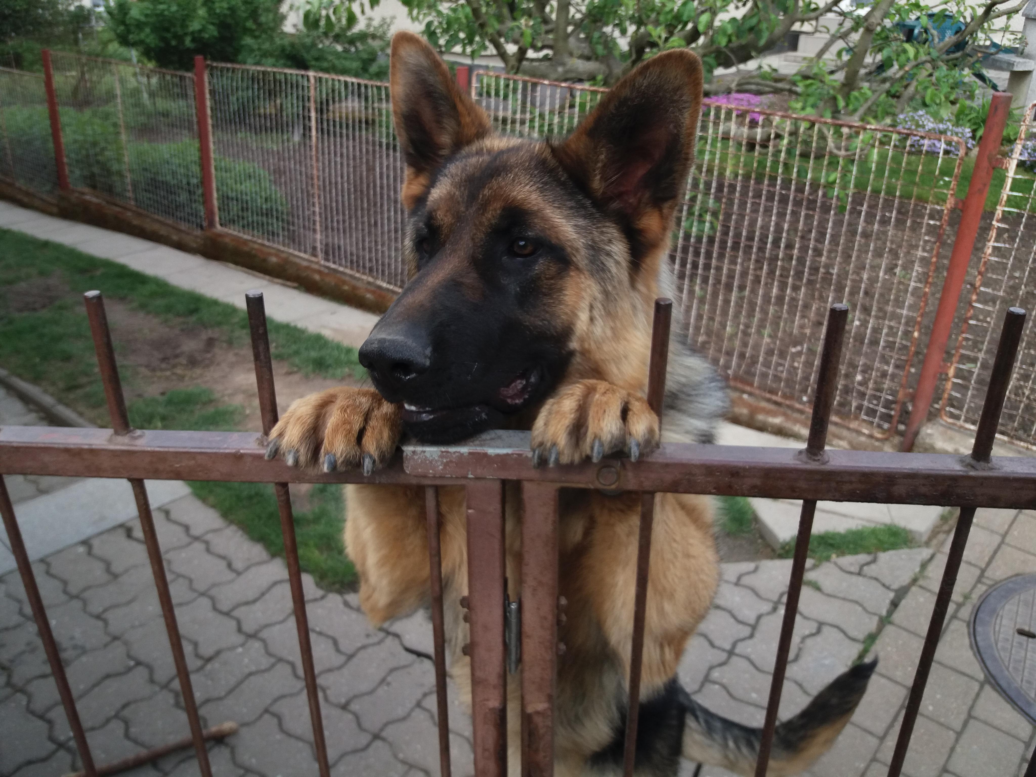 Pro Anima s.r.o. foto 3