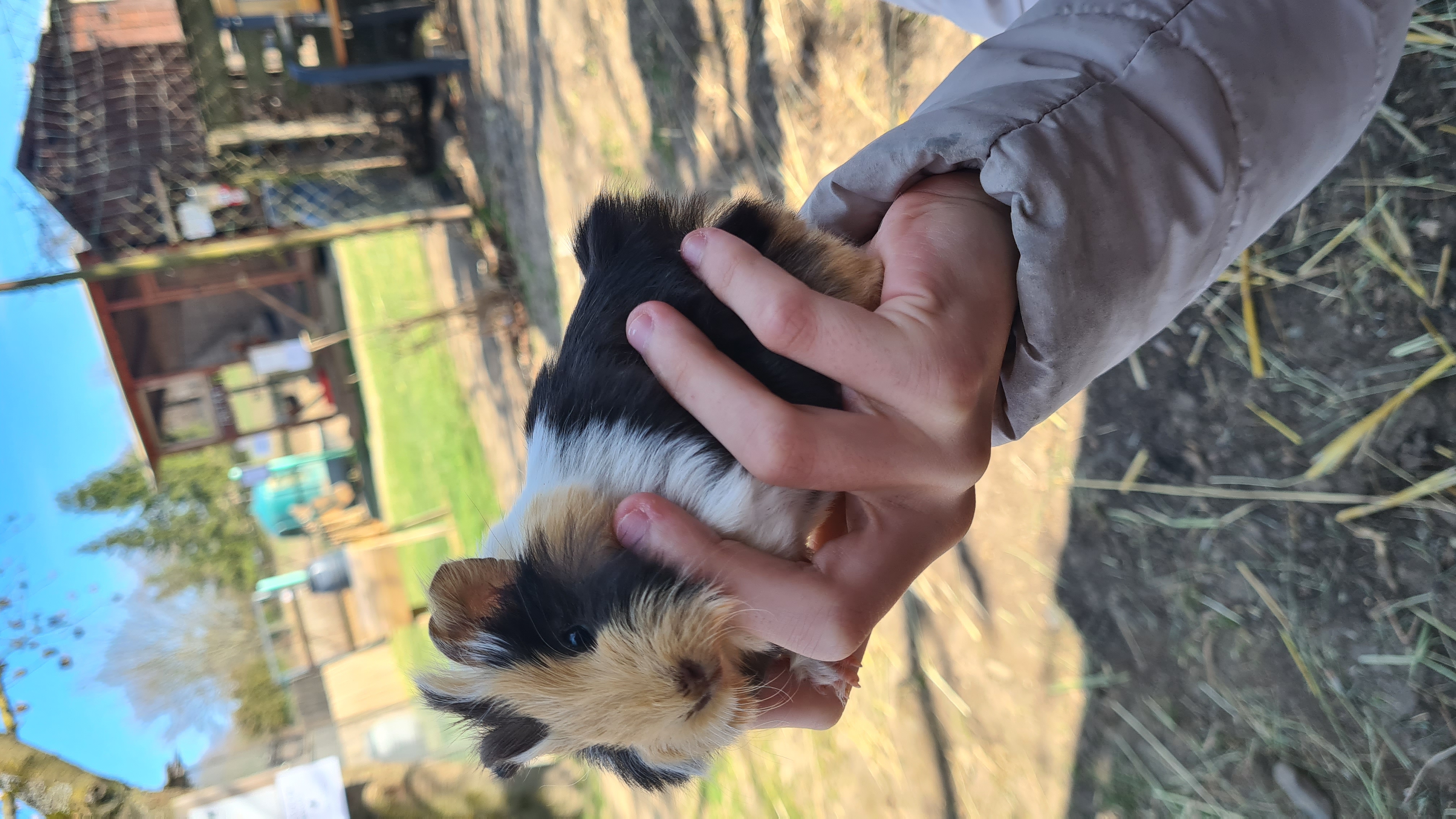 Farma Marvanovi foto 3