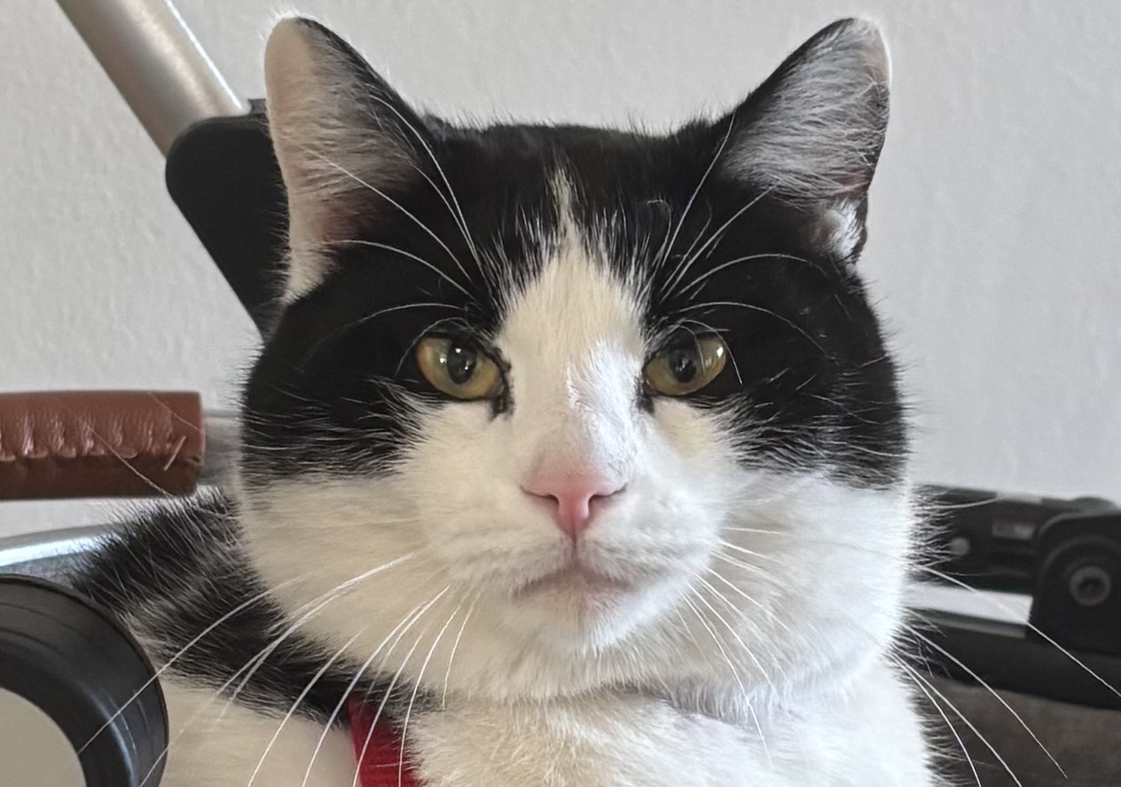 EVELVET veterinární ordinace foto 5