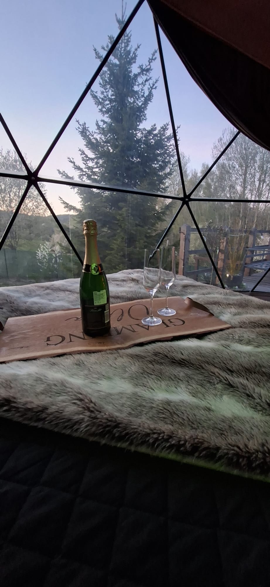 Glamping Oliva foto 3