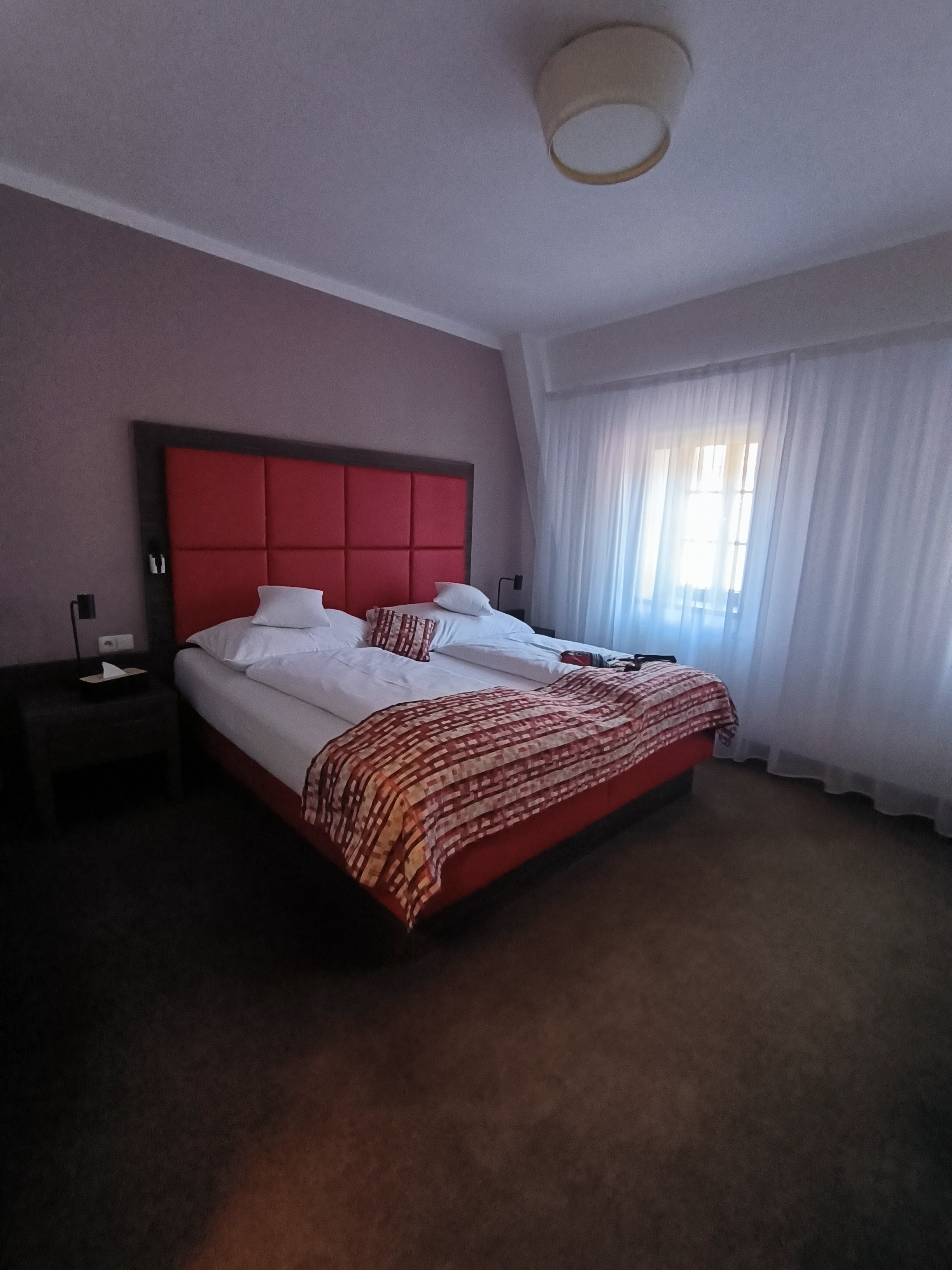 NELLY KELLY'S HOTEL foto 6