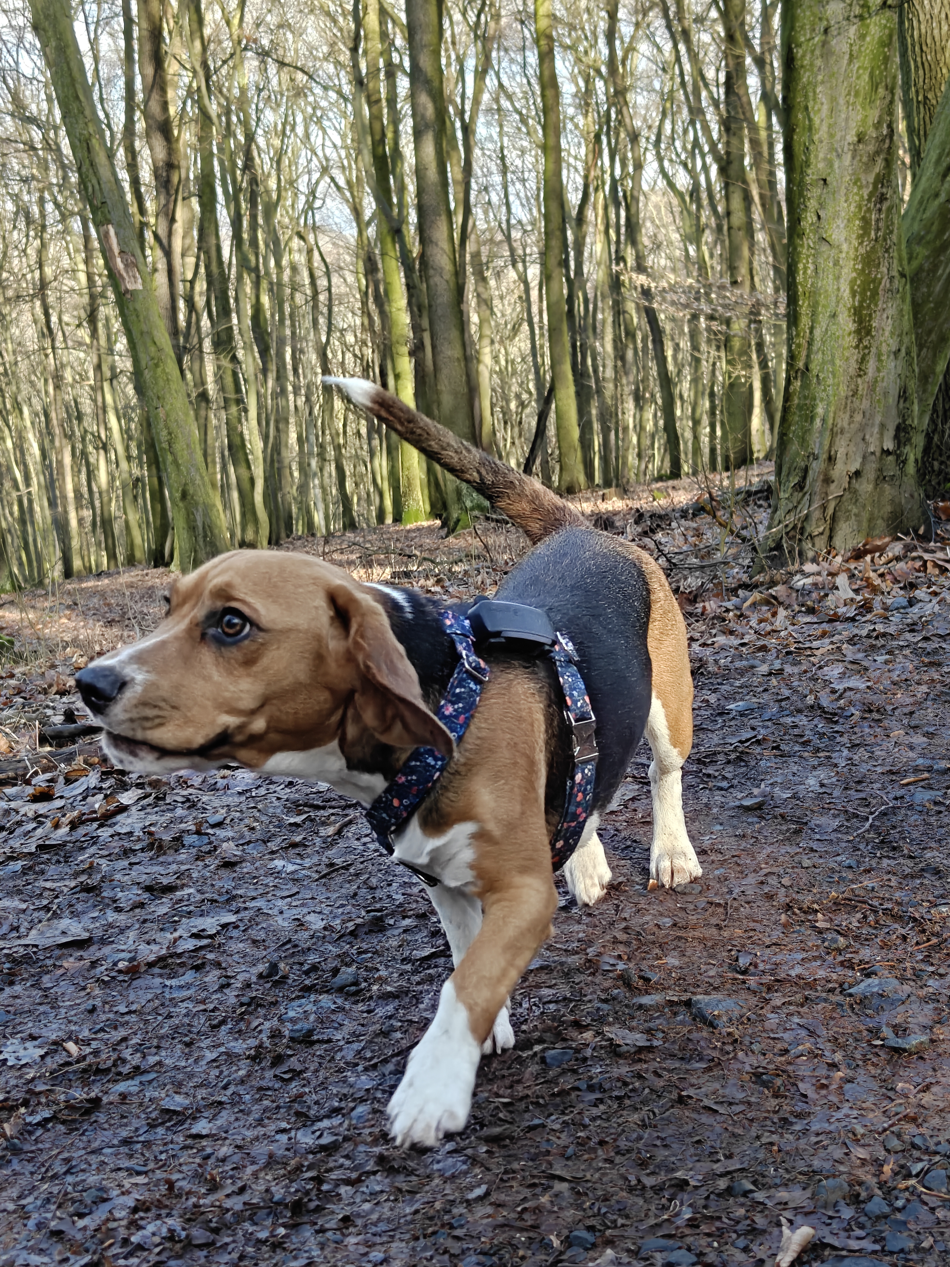 Hlídání u Pavlínky foto 3