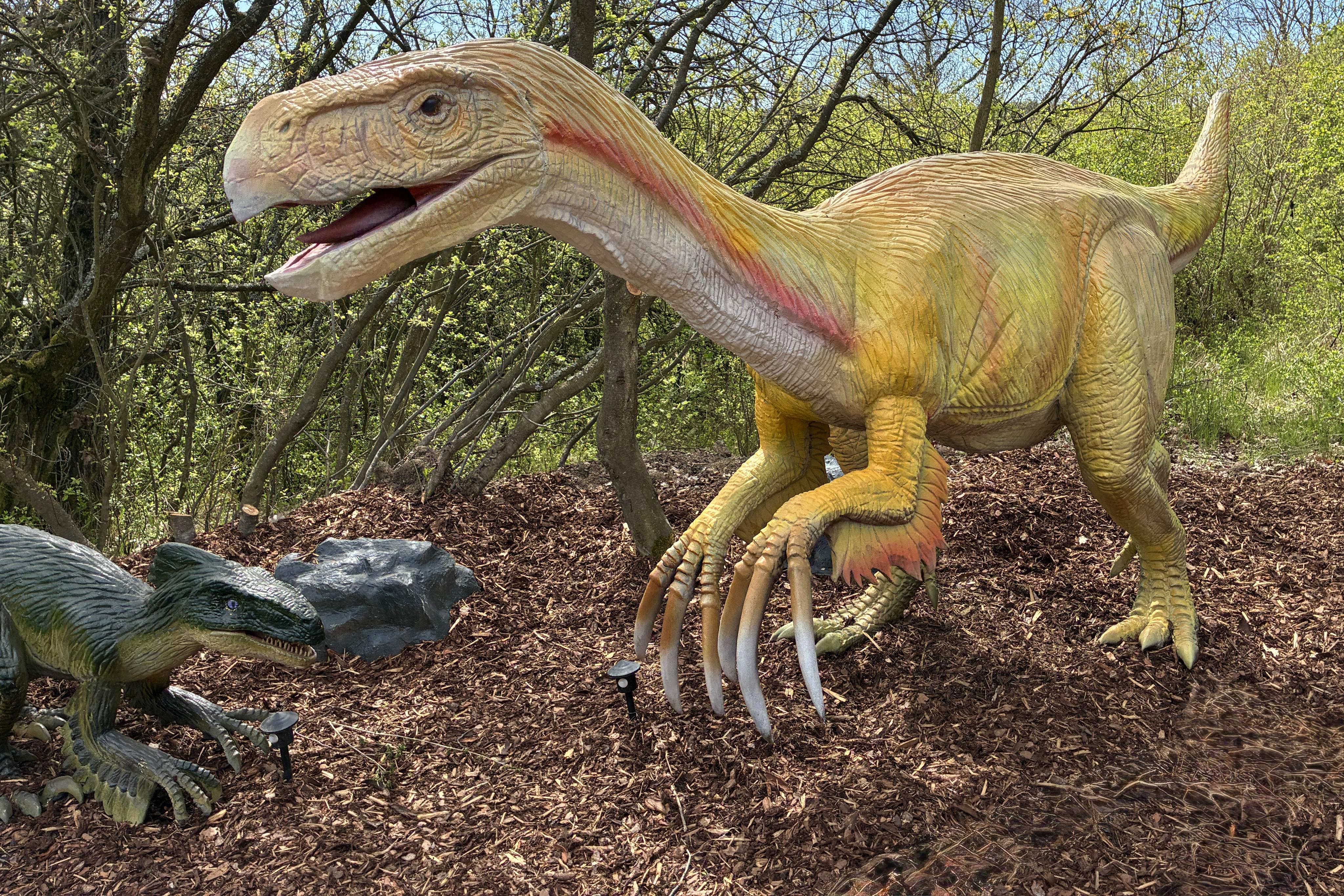 DinoLive foto 6