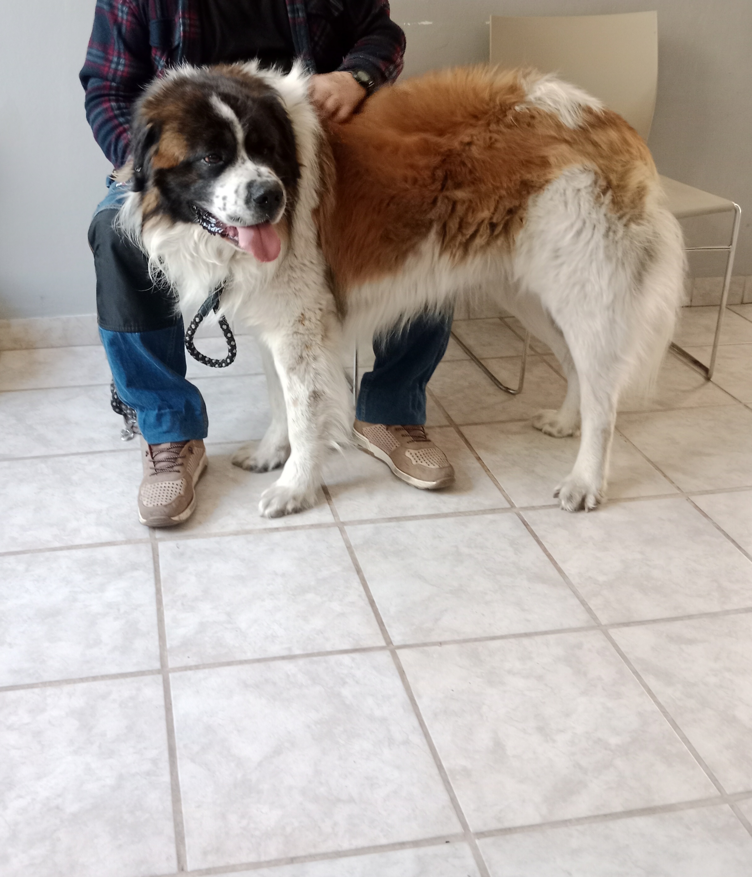 Veterinární ordinace Care4Pet s.r.o. foto 2