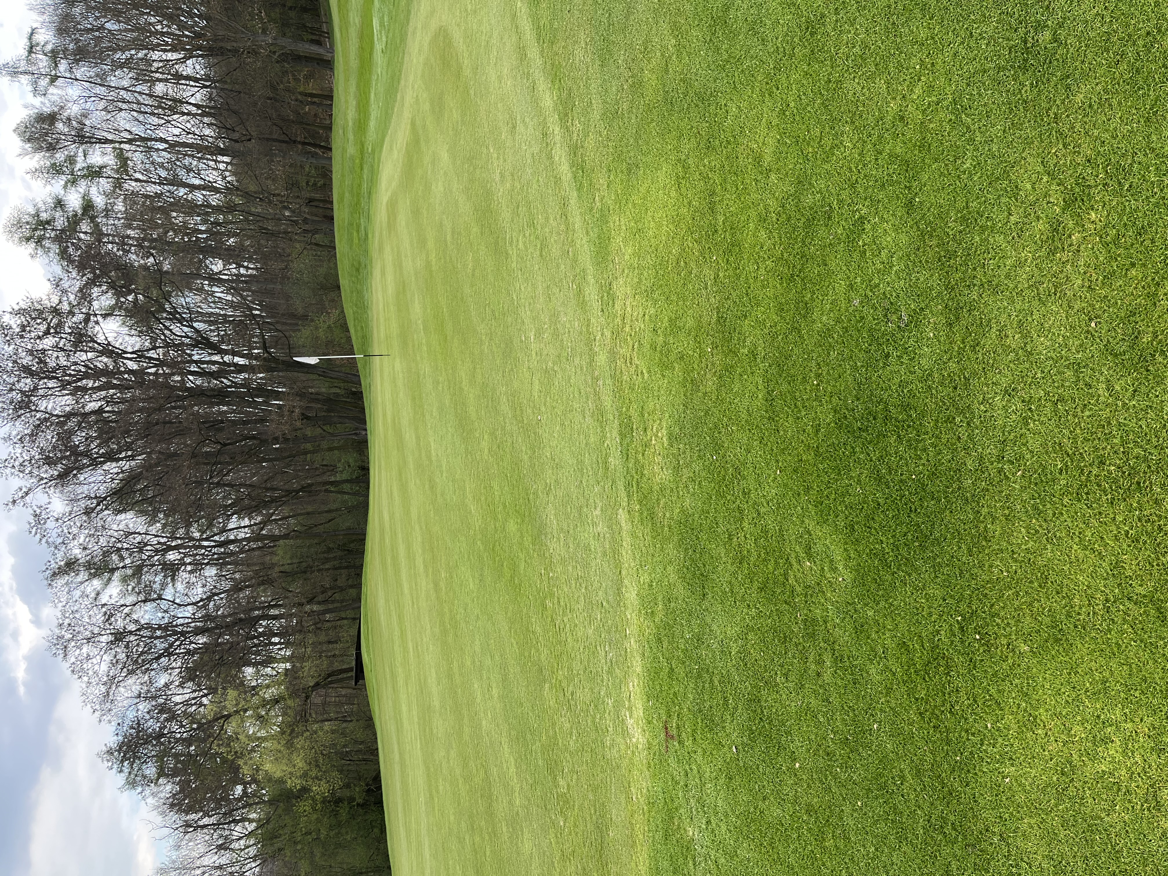 Royal Beroun Golf Club foto 1