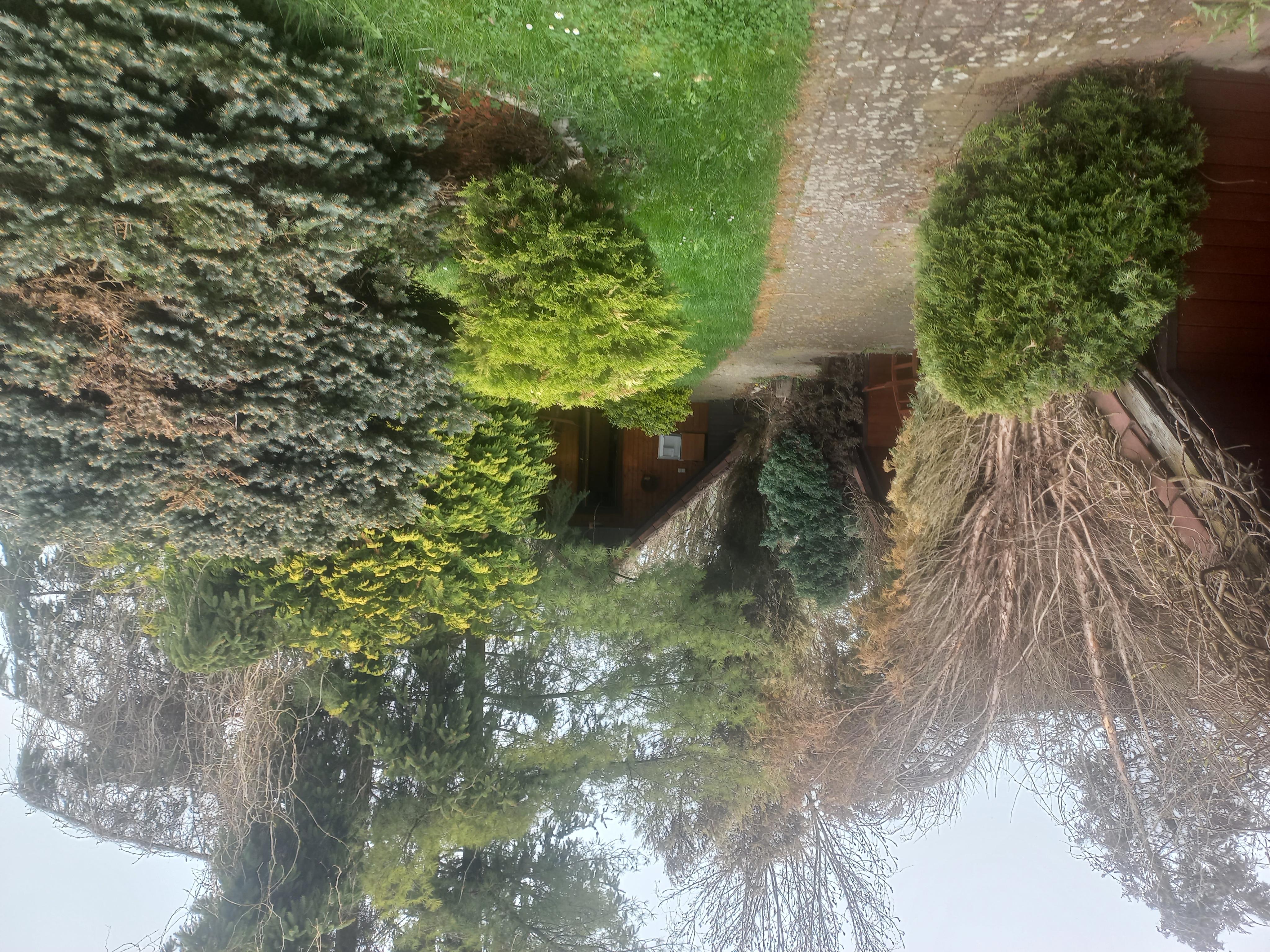 Motel Charlie chatky foto 2