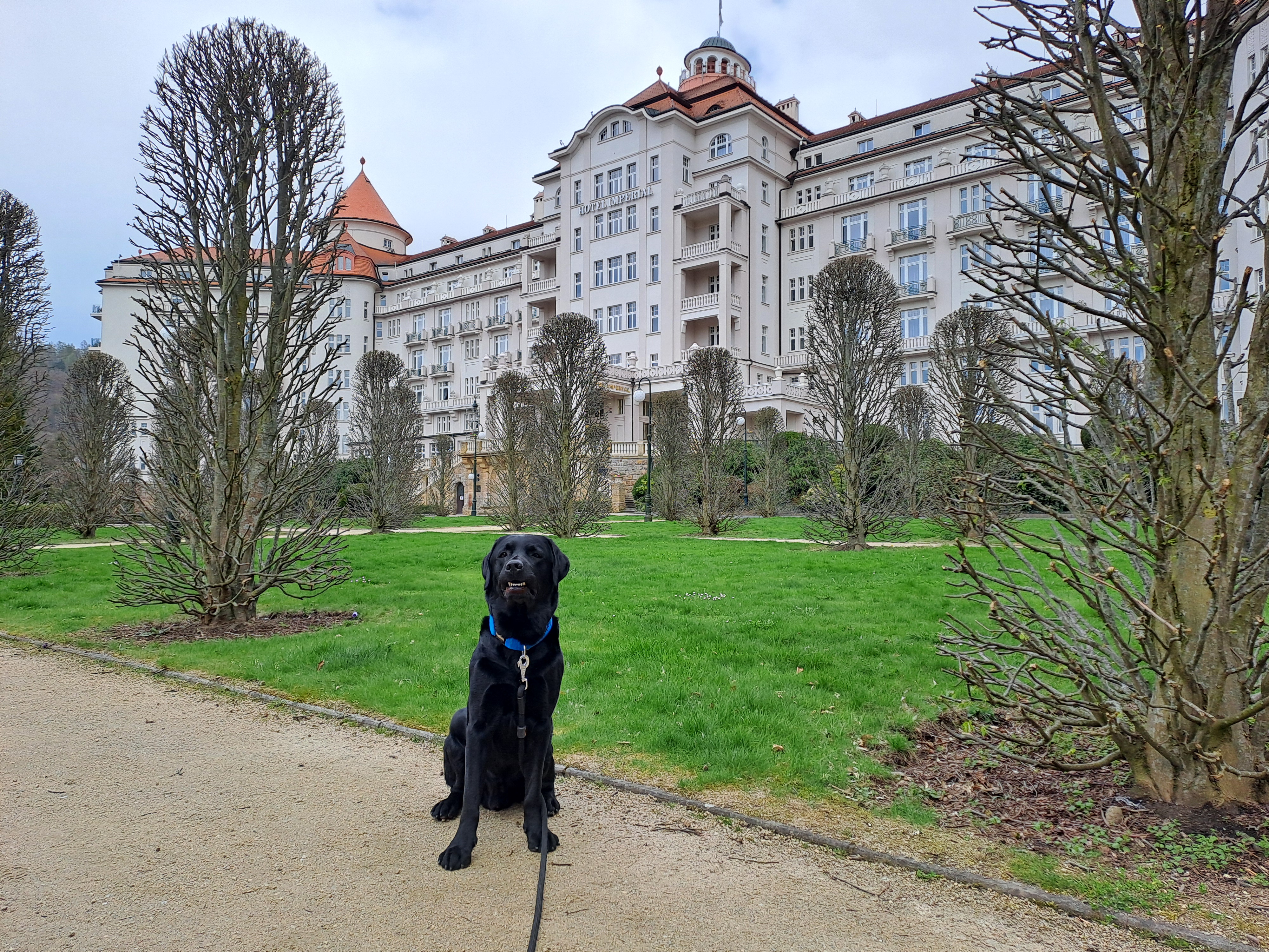 Hotel Imperial Karlovy Vary foto 6