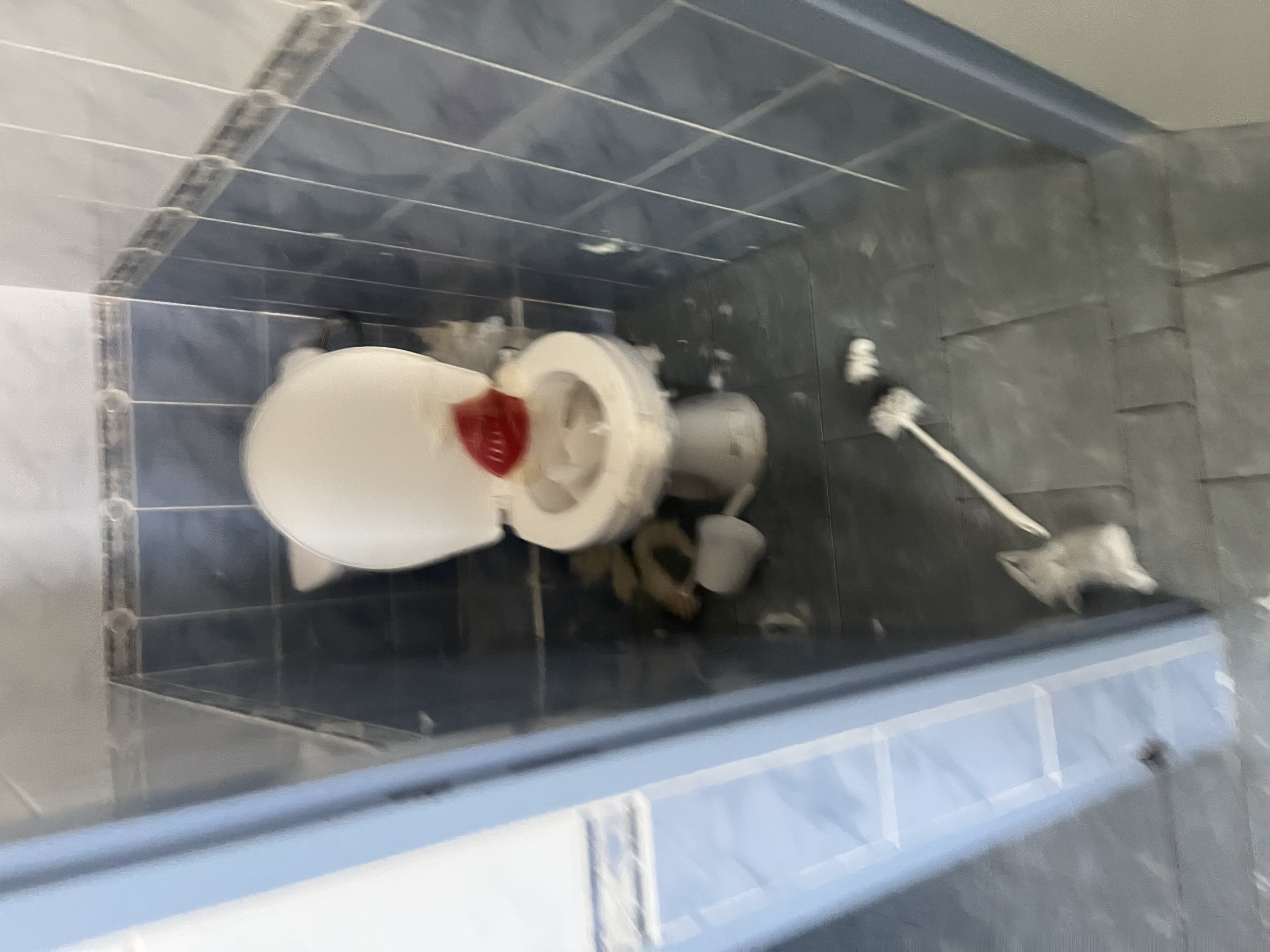 ZŠ Zubří, Hlavní foto 2