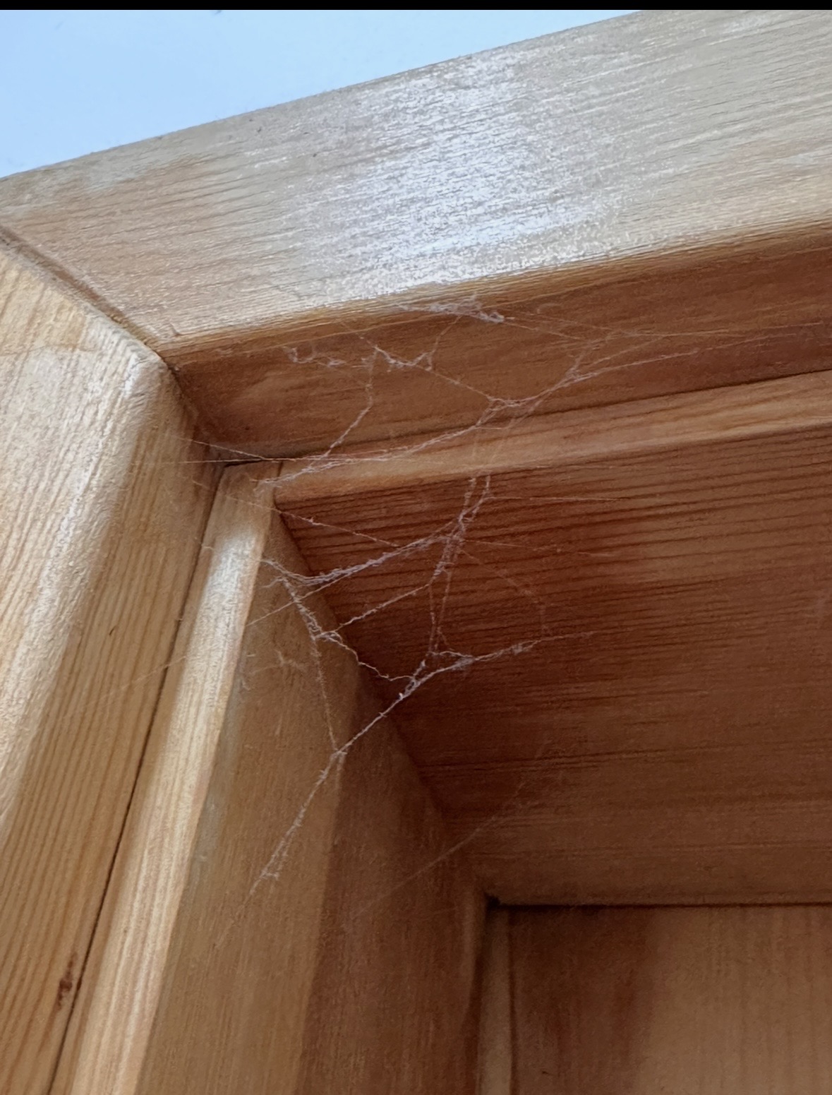 Penzion Hrádecký Dvůr foto 2