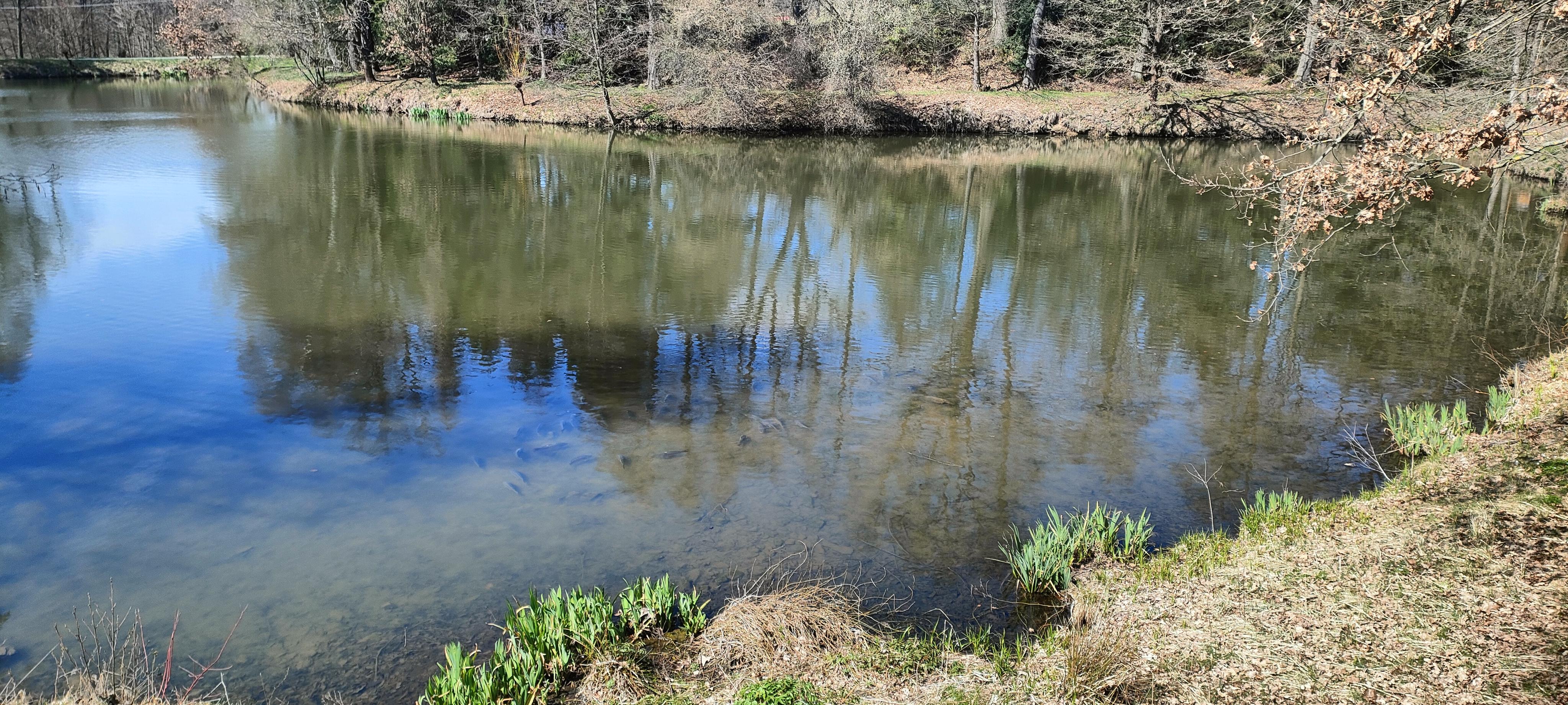 Restaurace Hotelu Farma foto 2