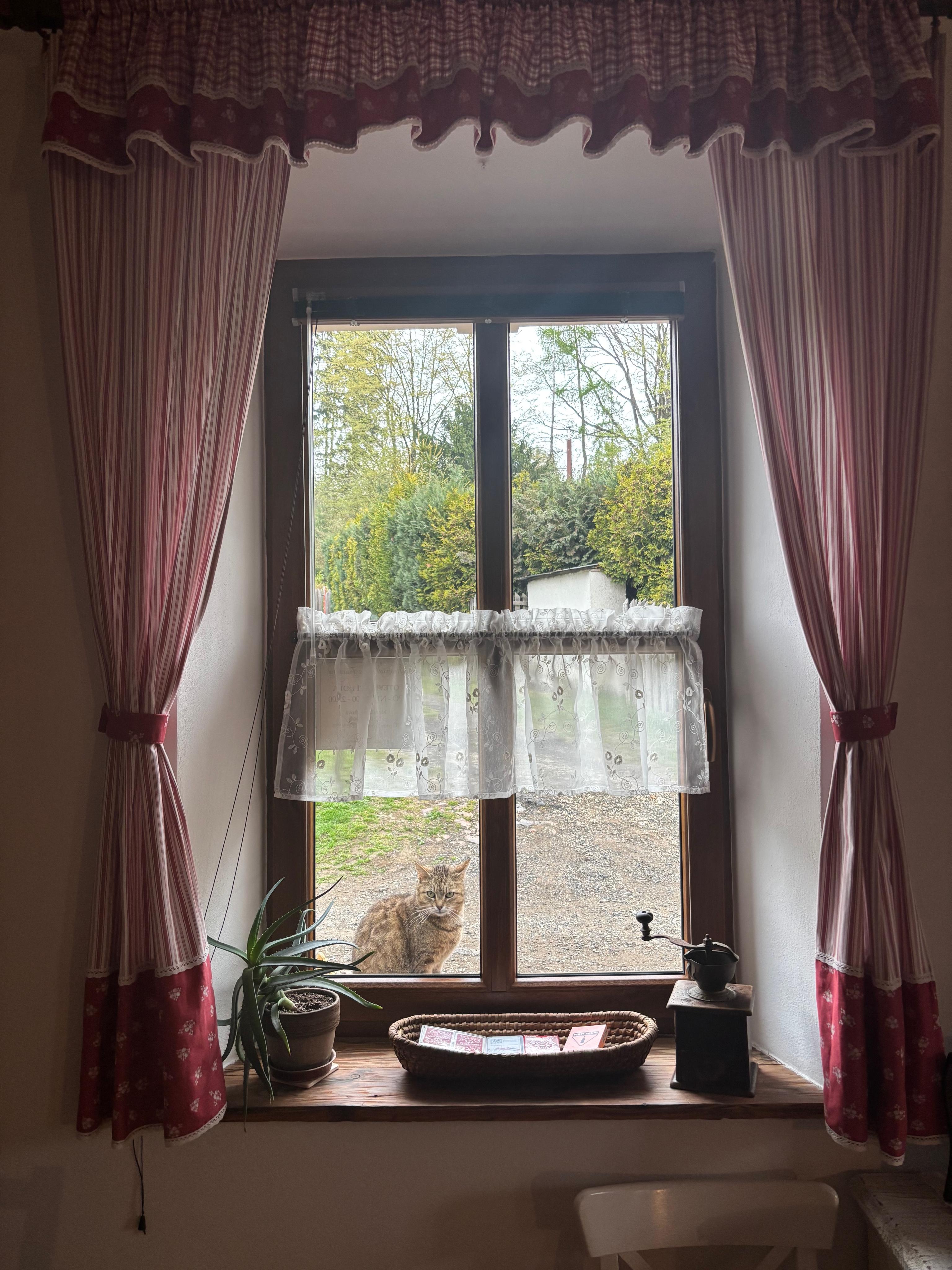 Hospůdka Na Trucovně - ubytování foto 2