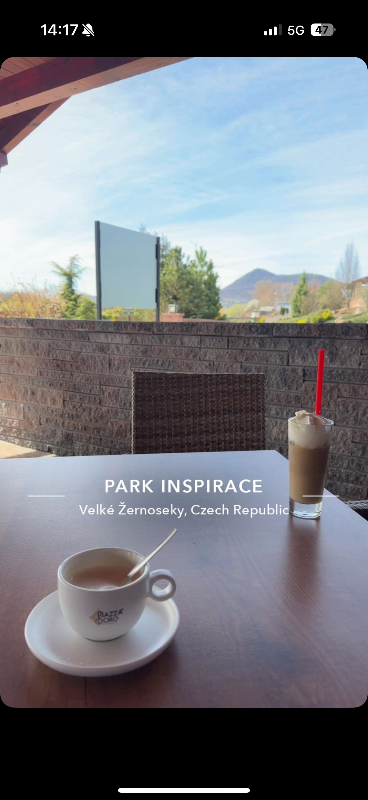 Občerstvení Park inspirace foto 4