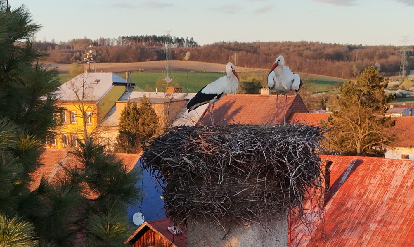 Můj obchod - Smíšené zboží Soběchleby foto 1