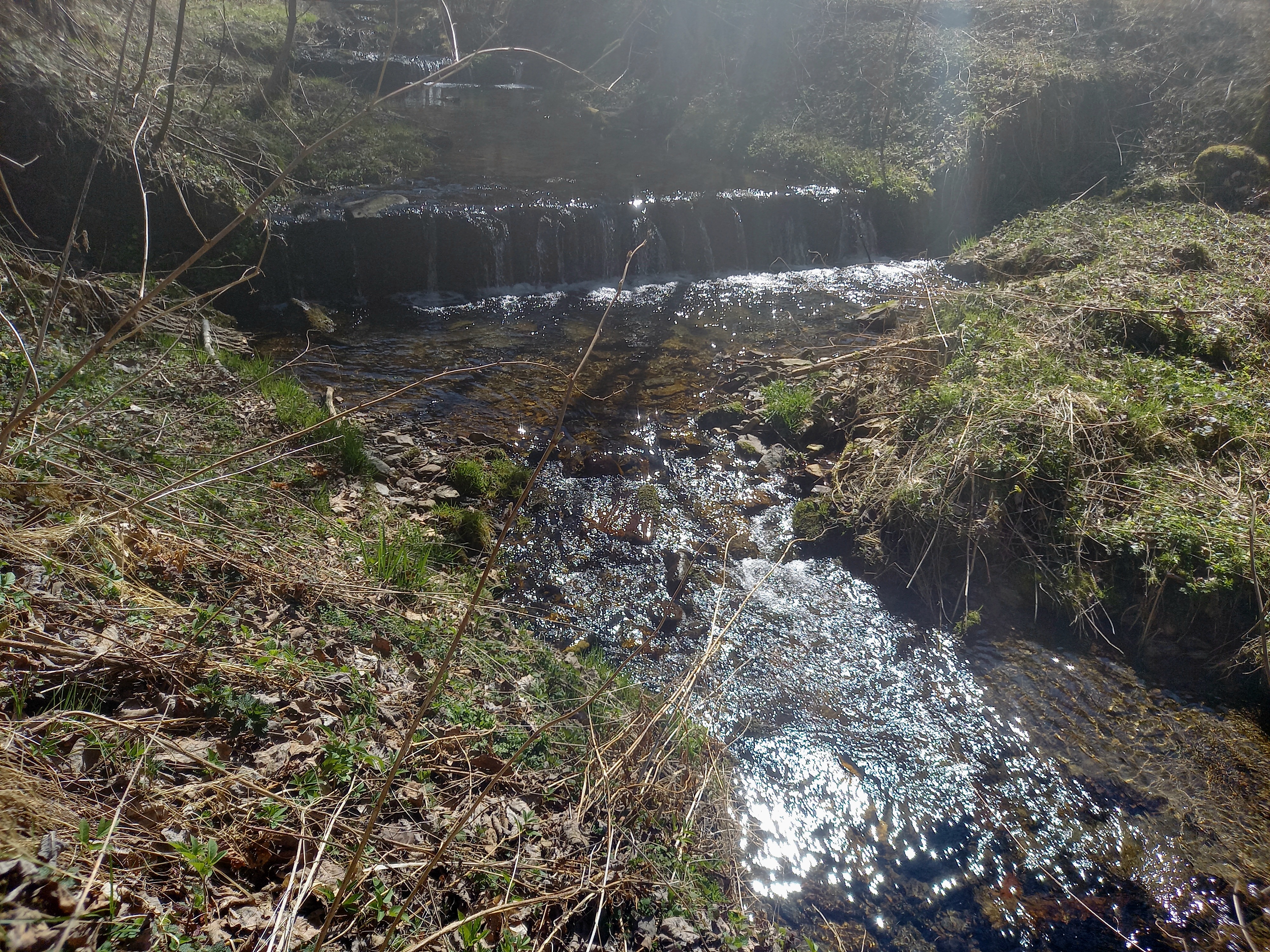 U Šumavských pramenů foto 5