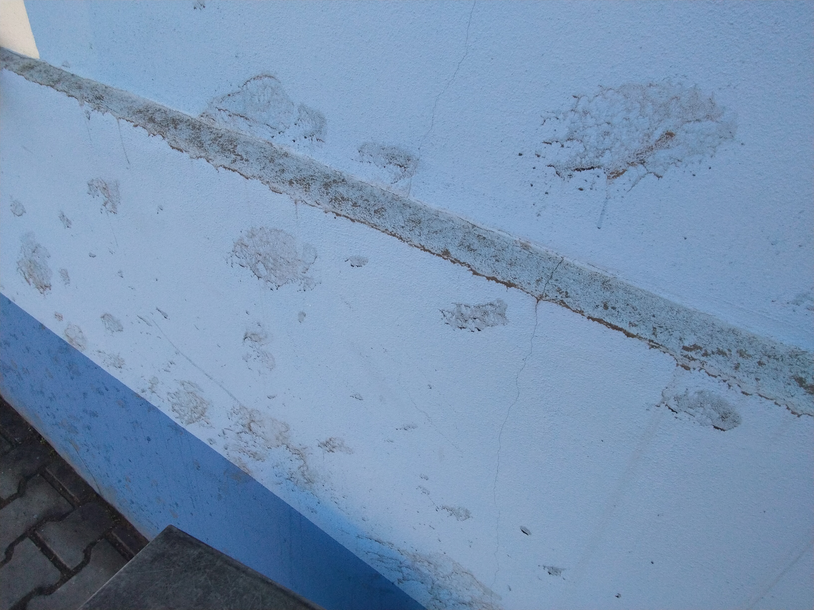 SÁRA Viktor s.r.o foto 1