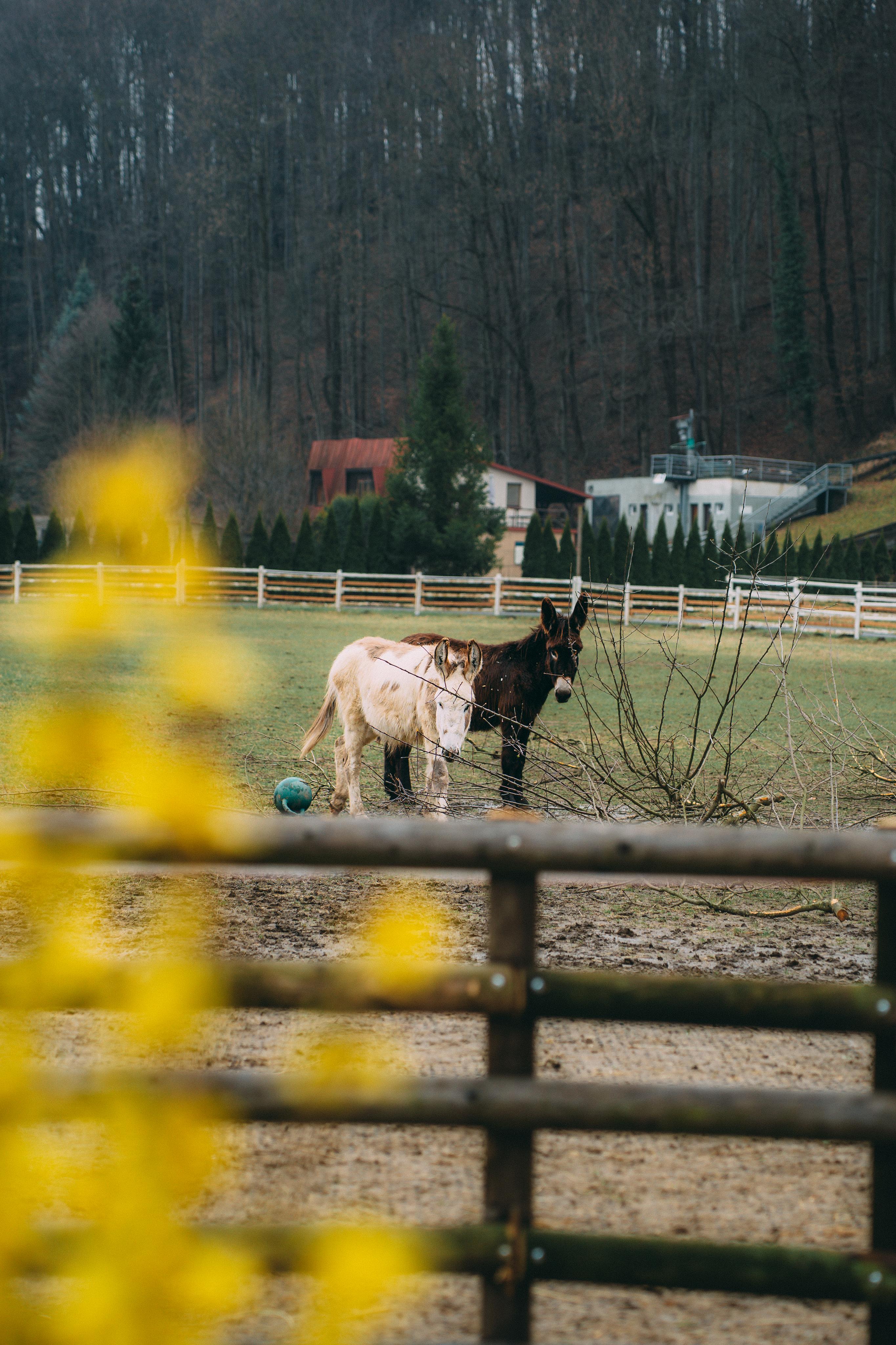 Ranč Bučiska foto 4
