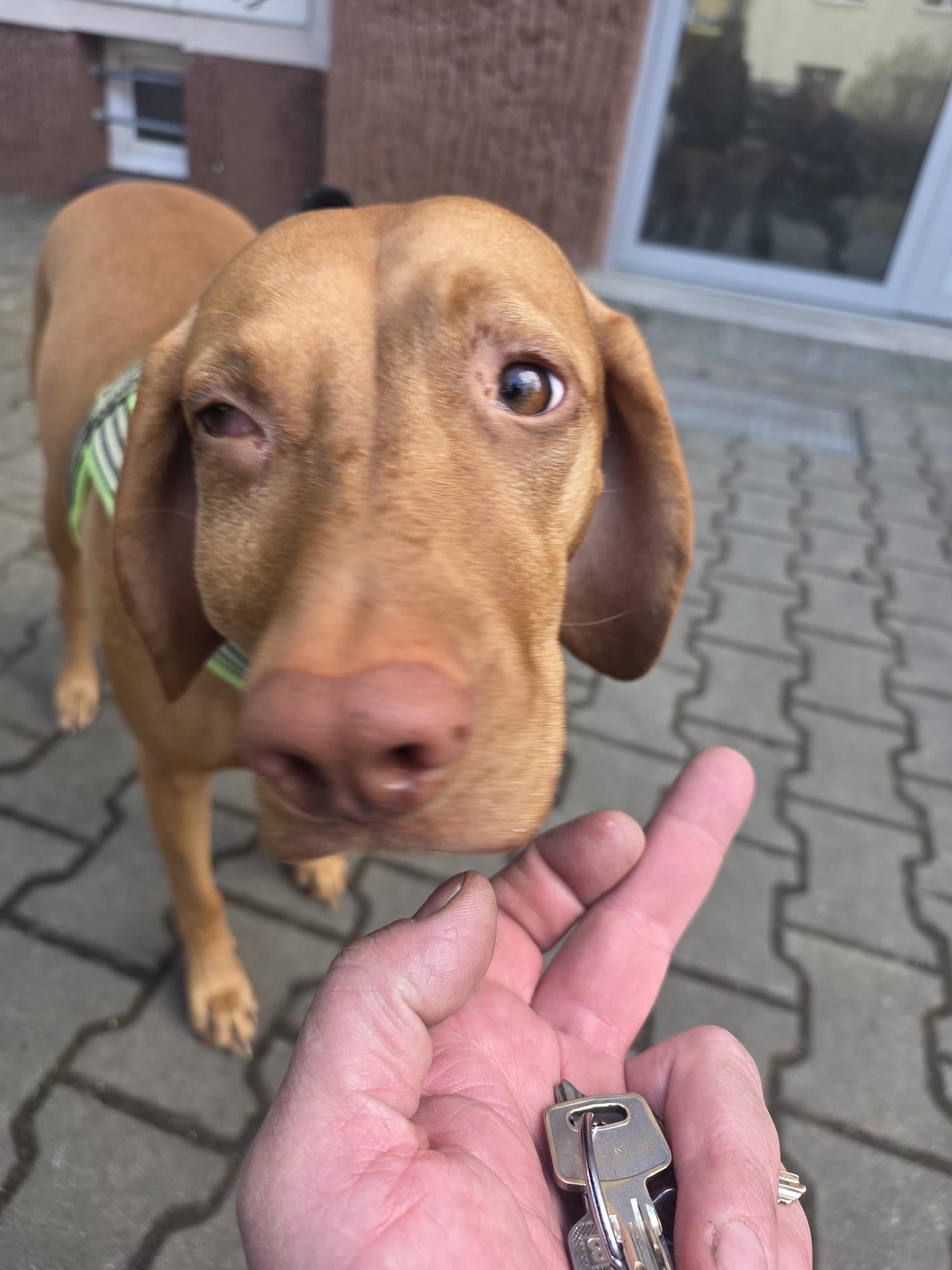 Klinika Anima foto 6