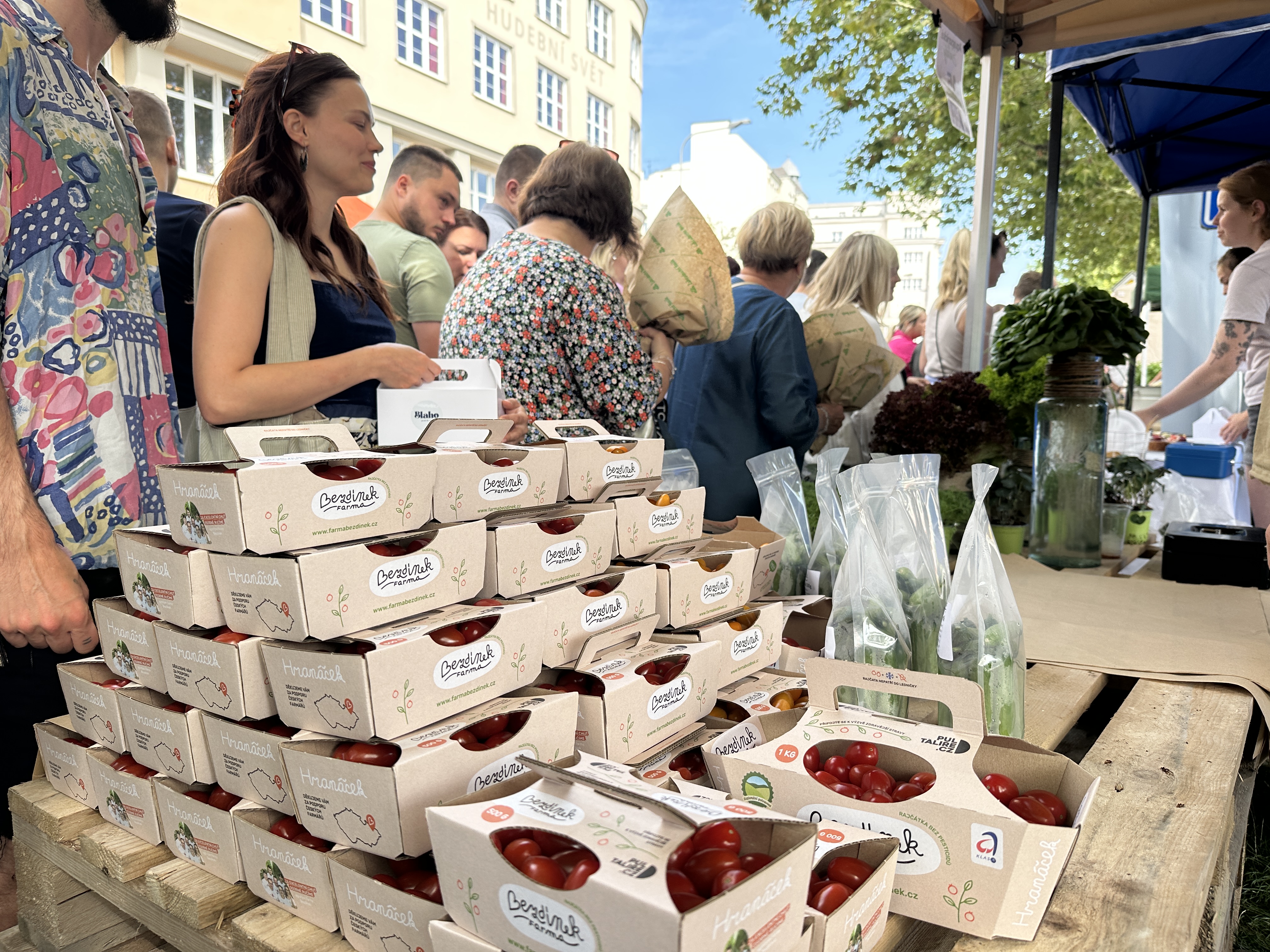 Trhy, co se hledají na Malé Kodani foto 2