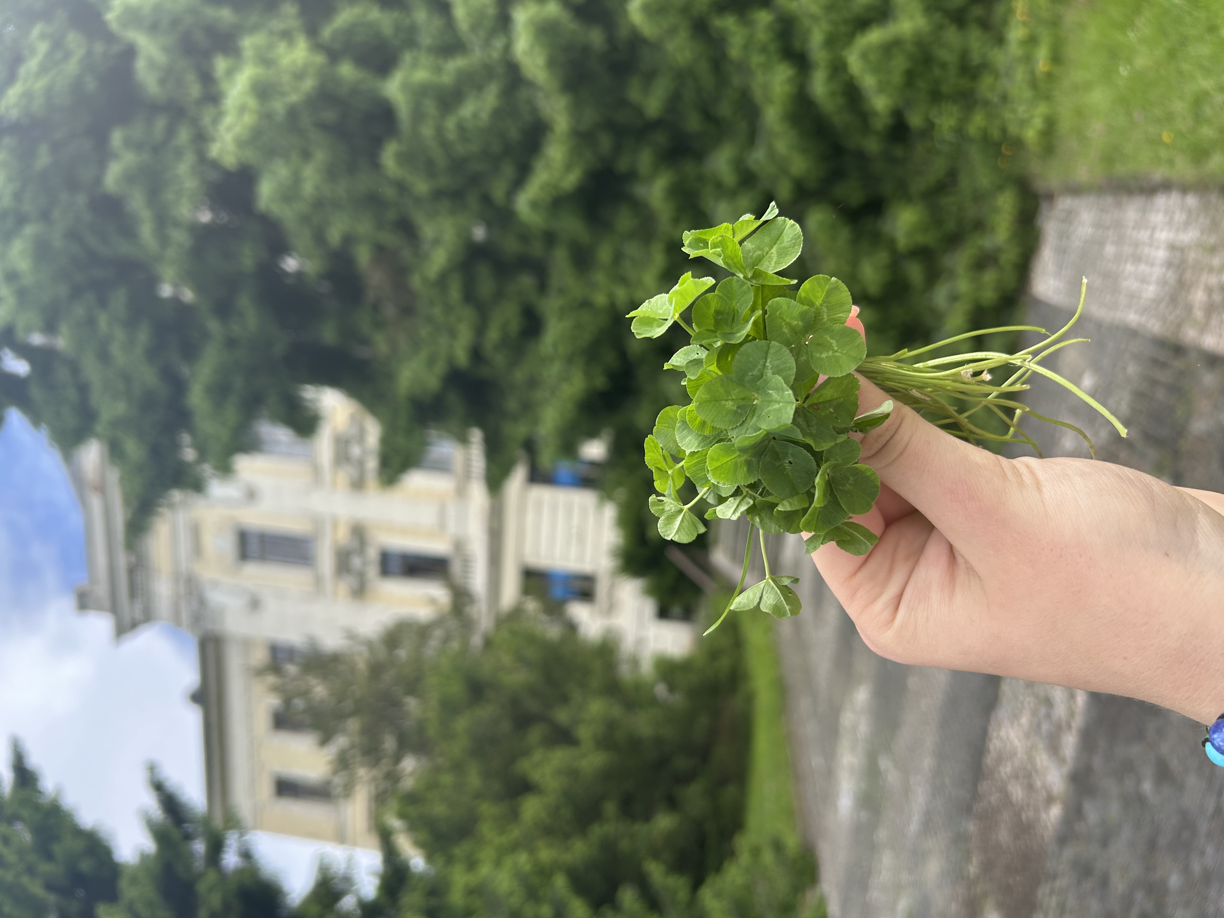 Soukromá střední odborná škola Frýdek-Místek, s.r.o. foto 4