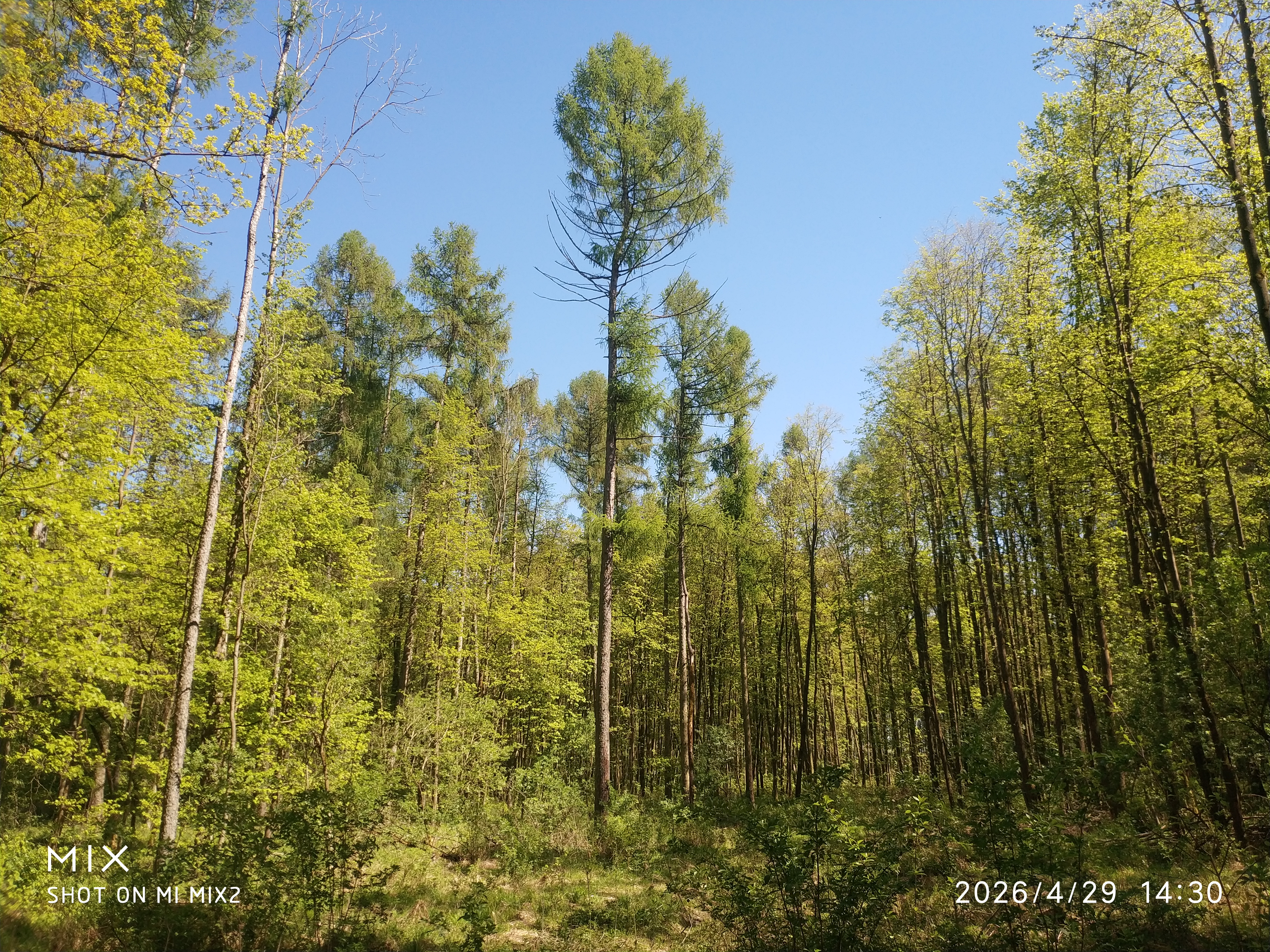 Rohoznice - obecní úřad foto 2