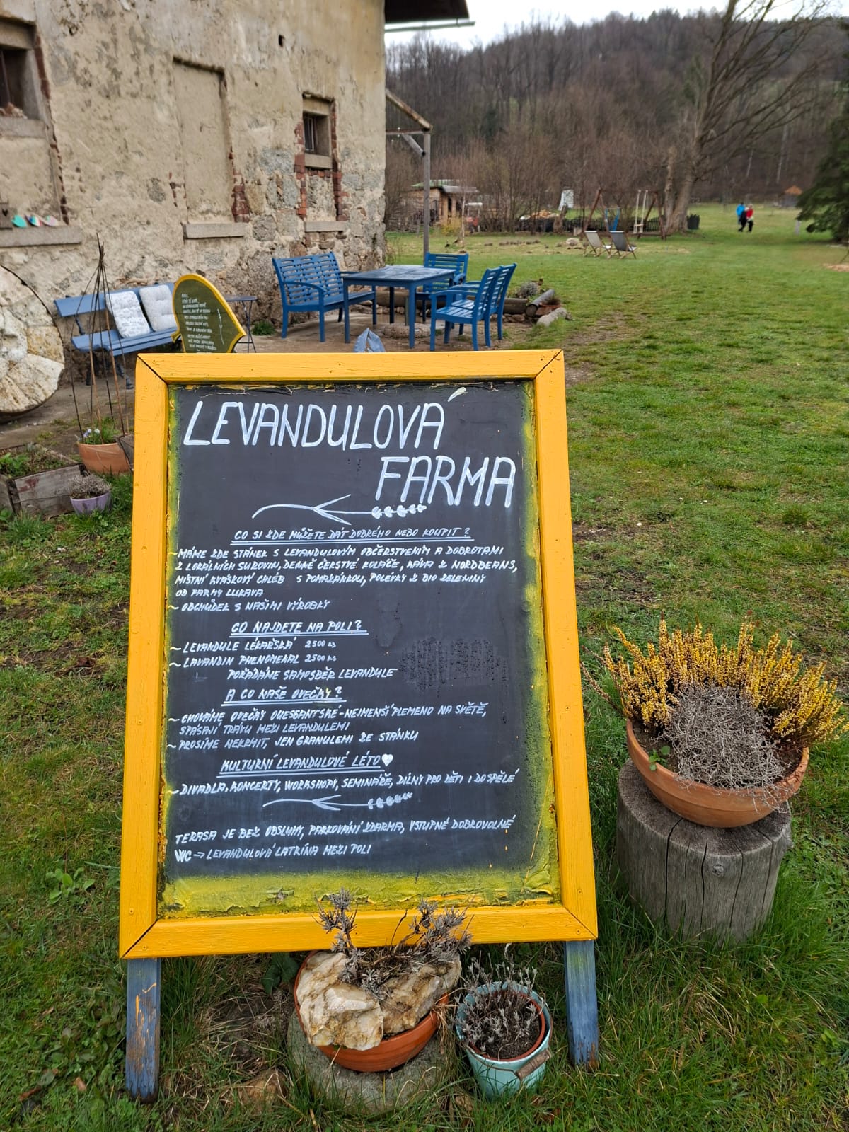 Levandulovna s.r.o. foto 6