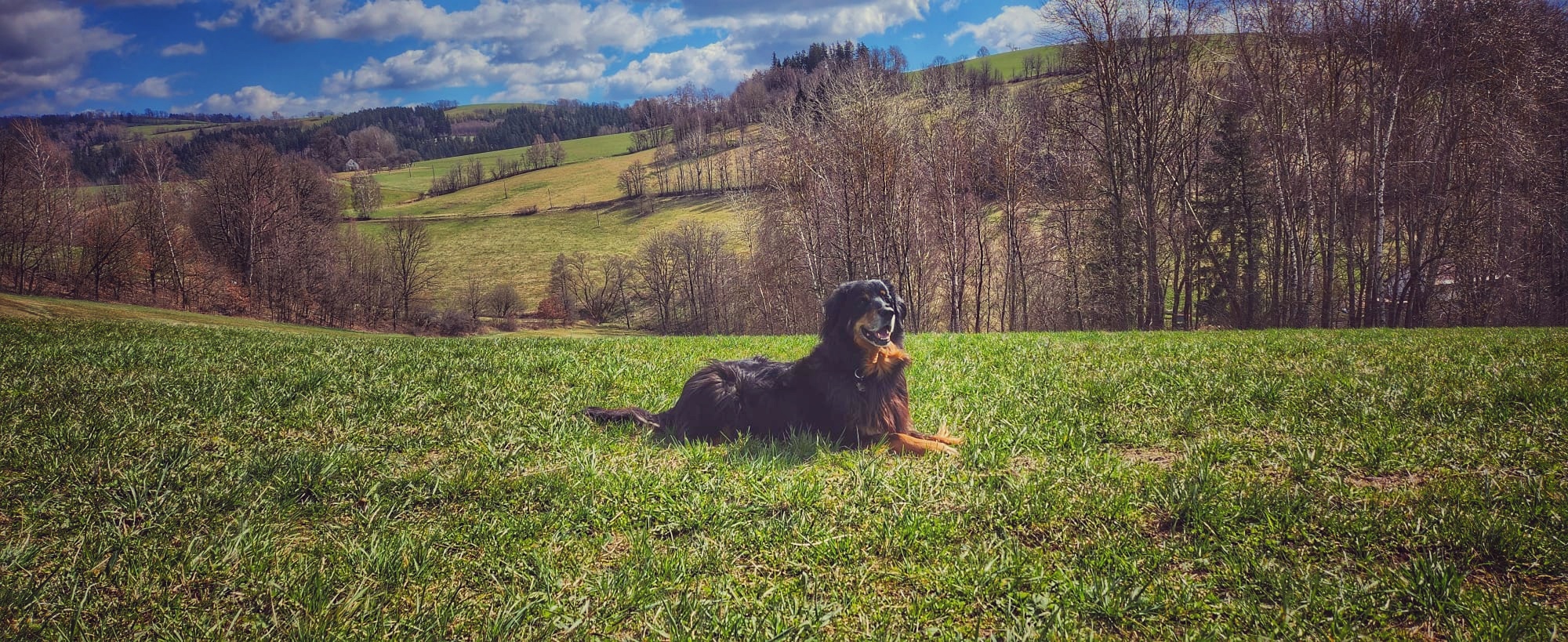 Hotel Krakonošovo Zátiší foto 5