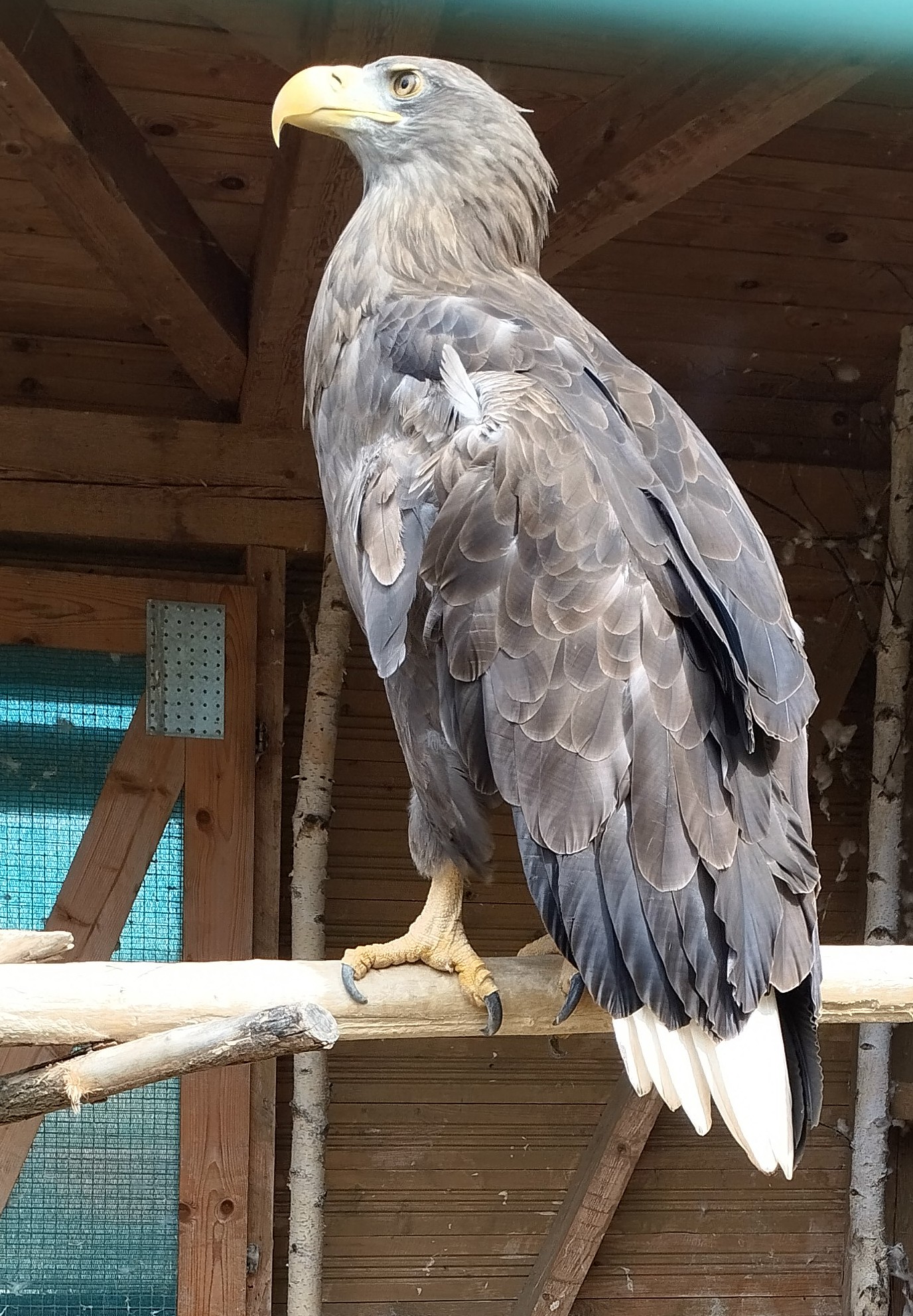 Minizoo při Centru ochrany fauny ČR foto 3